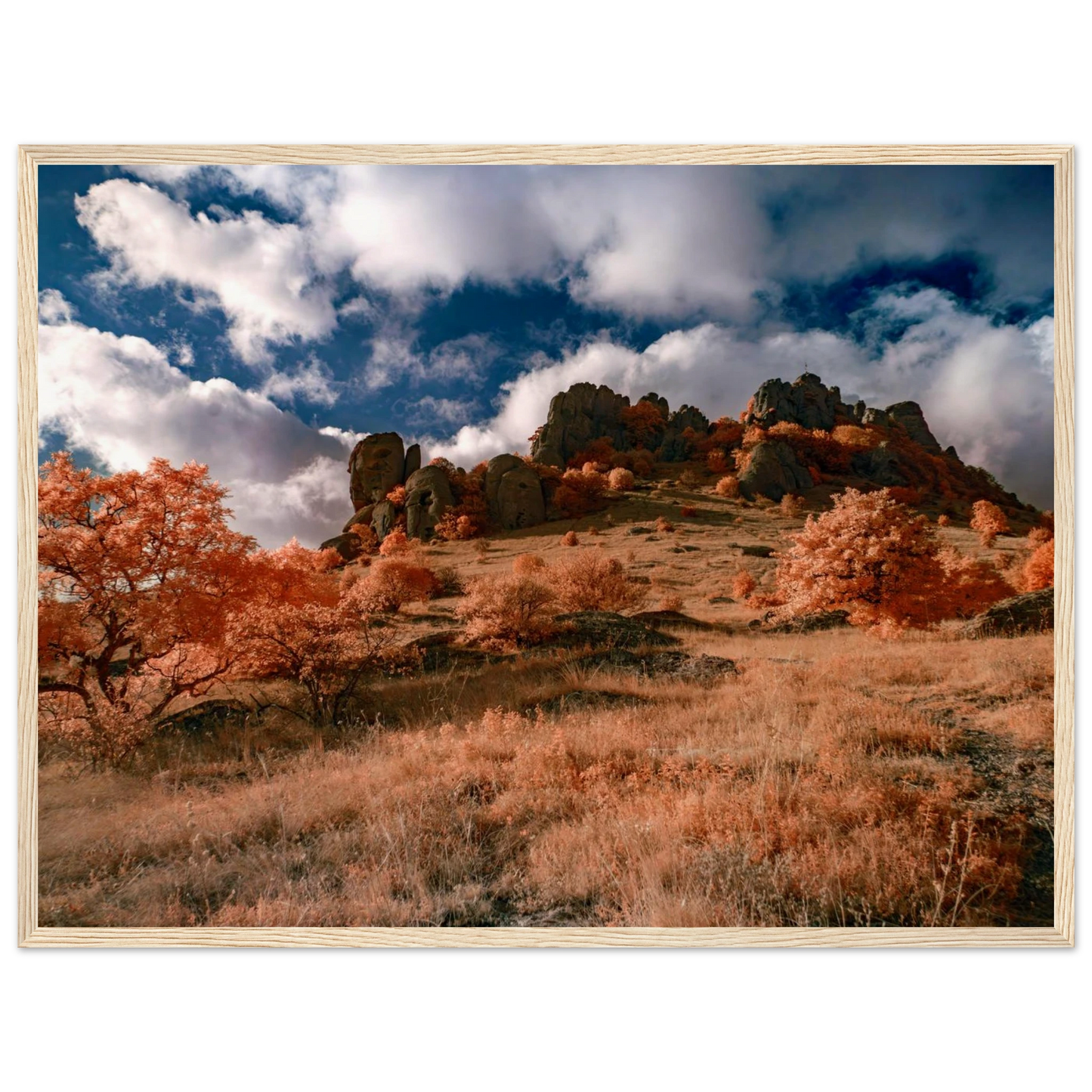 eac9d3c8-f6be-4e6d-82c3-185acc50ef58