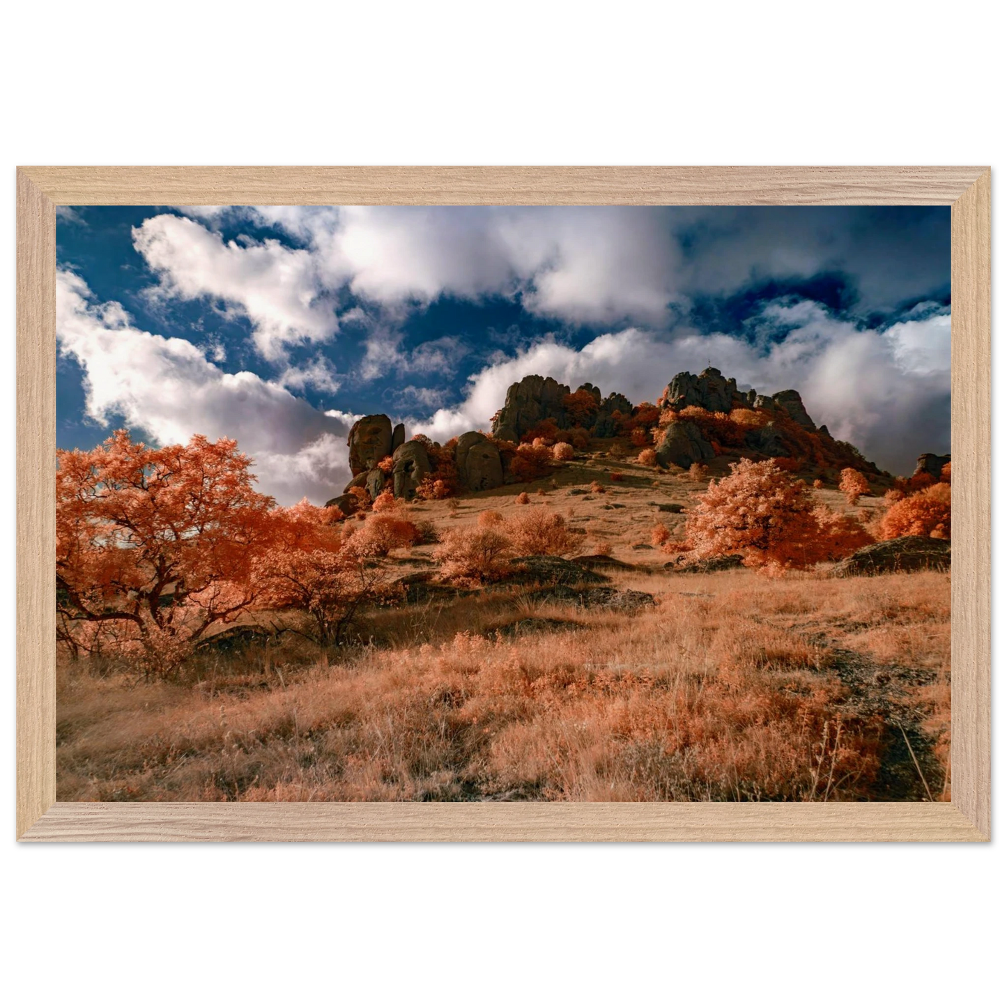 eb77cf63-82df-4b35-af44-9d3099839d06