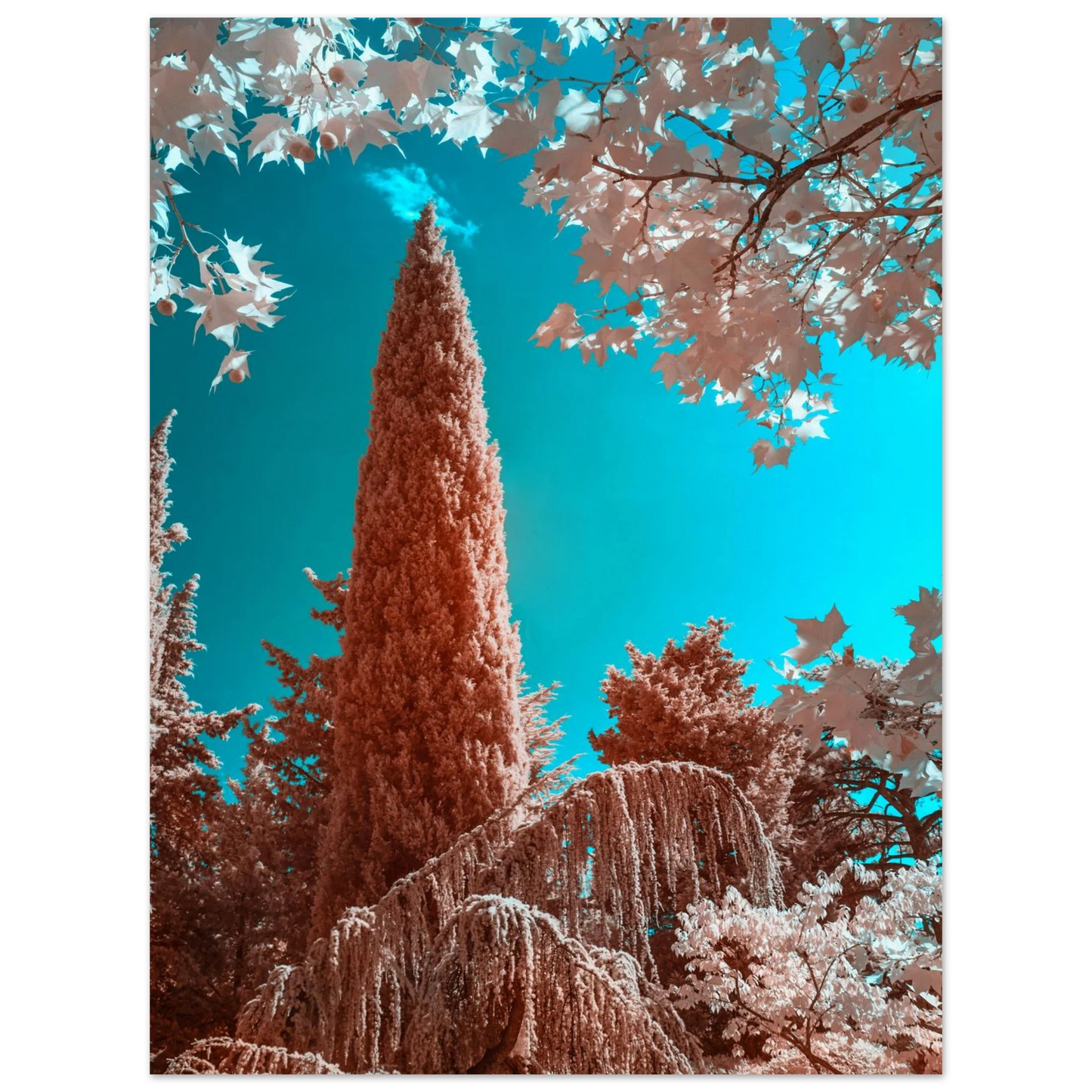 eb82be82-aa5e-4d98-b94c-65b0566973e8