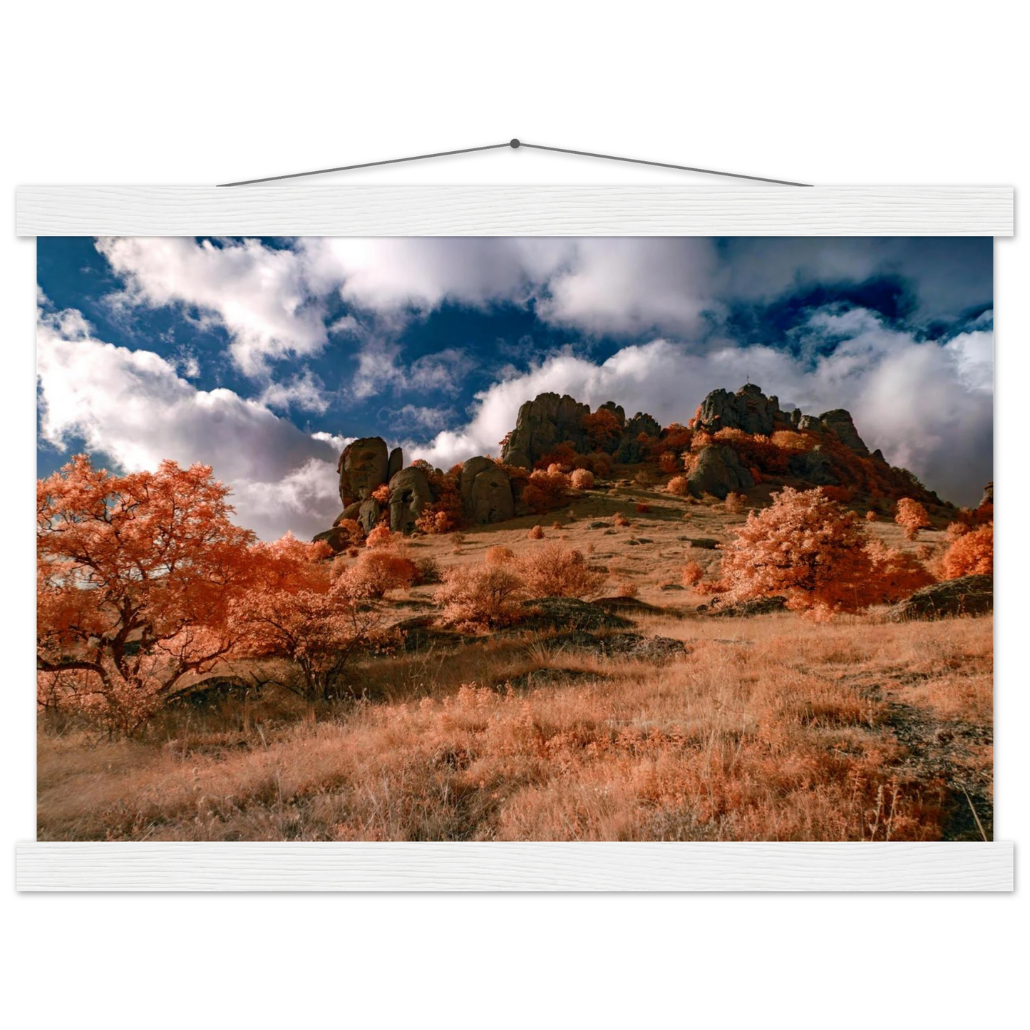 ec1cf692-49ed-40fb-b51f-9be1b1216402