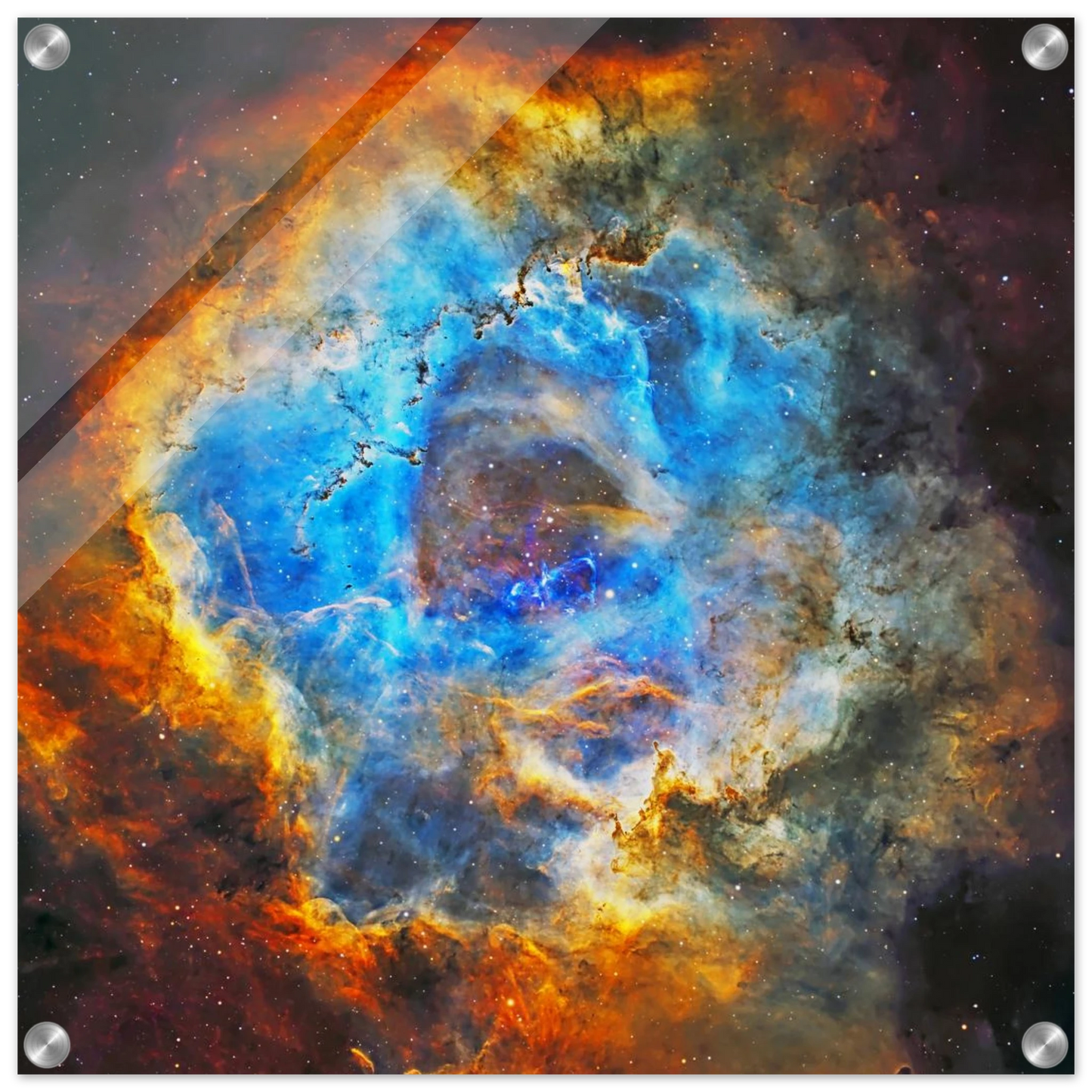 ef9f6904-4fff-428e-beb2-f8eebf66cf0b