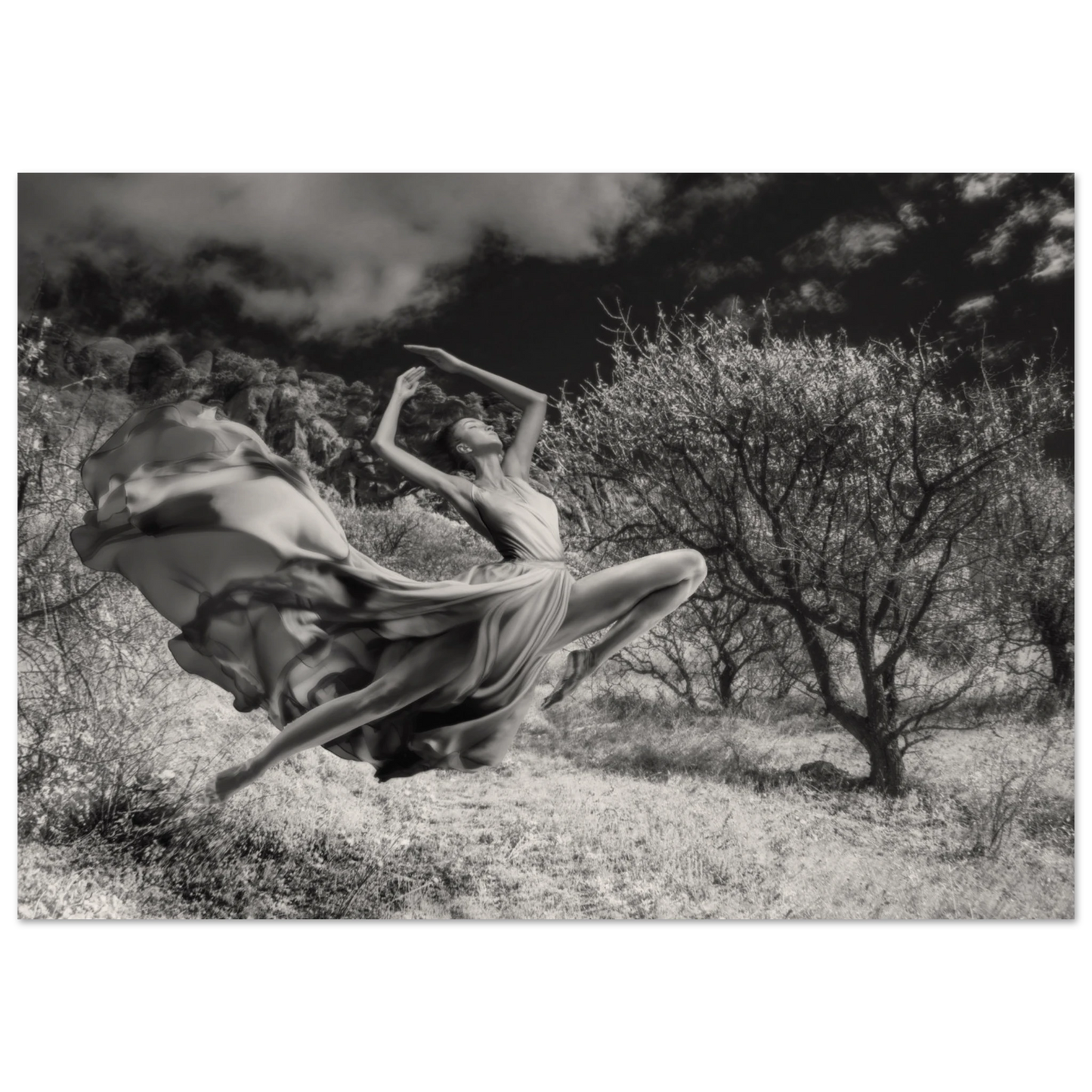 f3e4308a-d44e-4d12-805d-2a5ed6413819