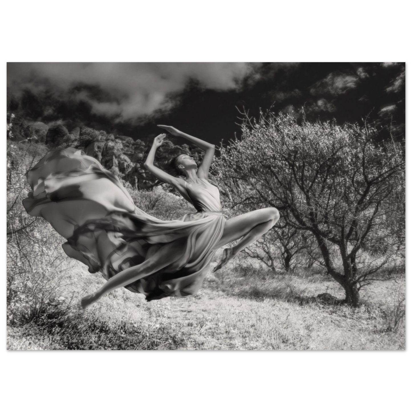 f424994e-aefc-401d-bc27-2ffe60ccb812