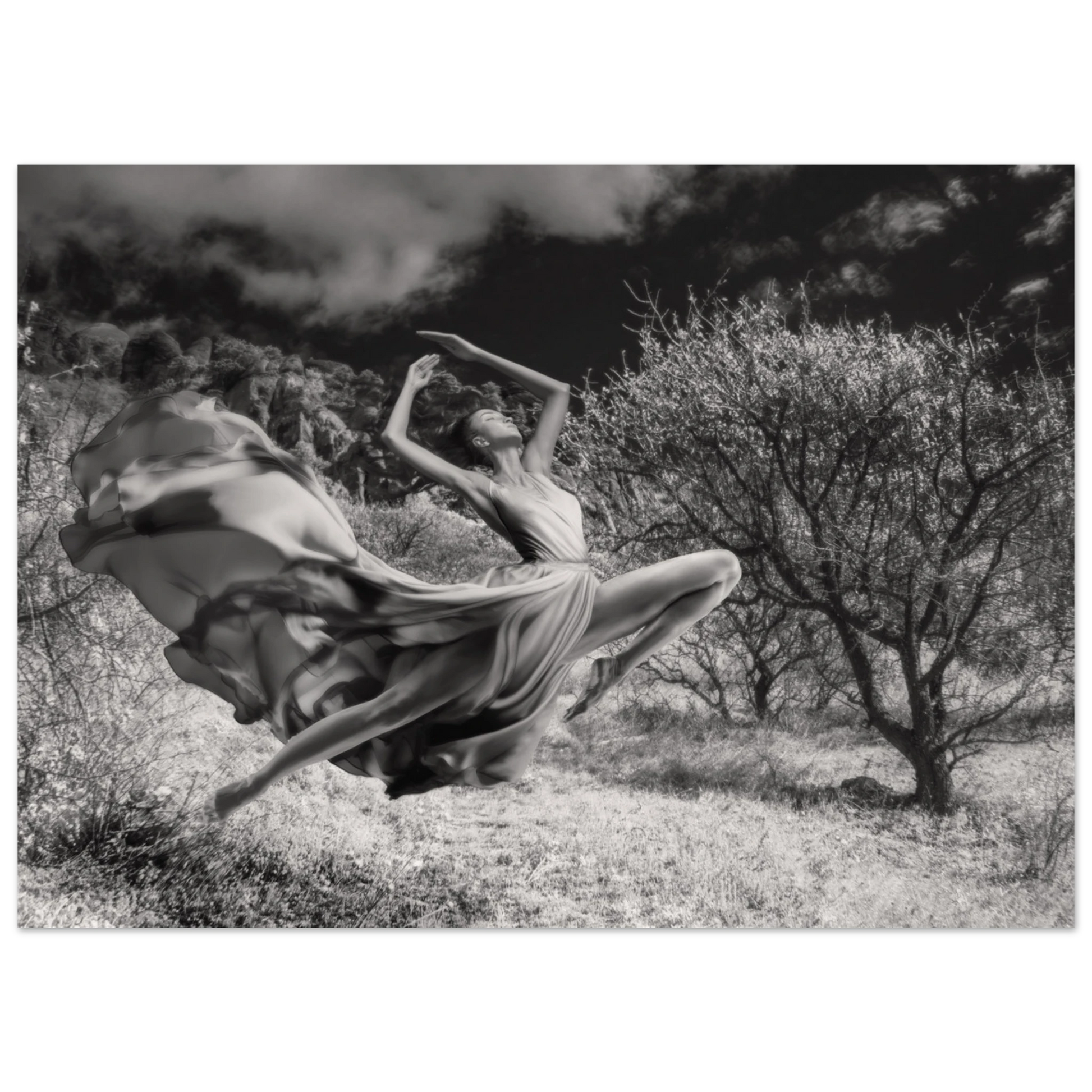 f424994e-aefc-401d-bc27-2ffe60ccb812