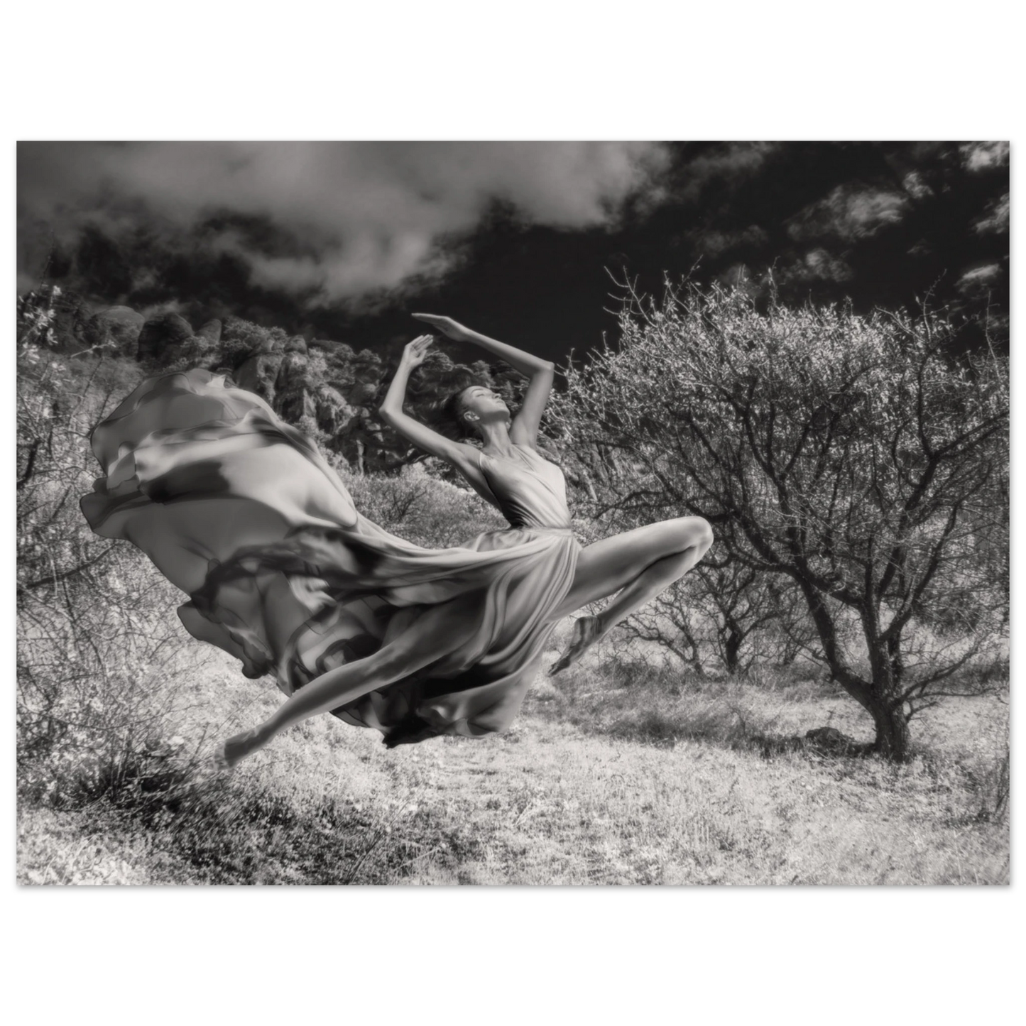 f61bf7e4-e17f-451c-9b65-6650c7d5de82