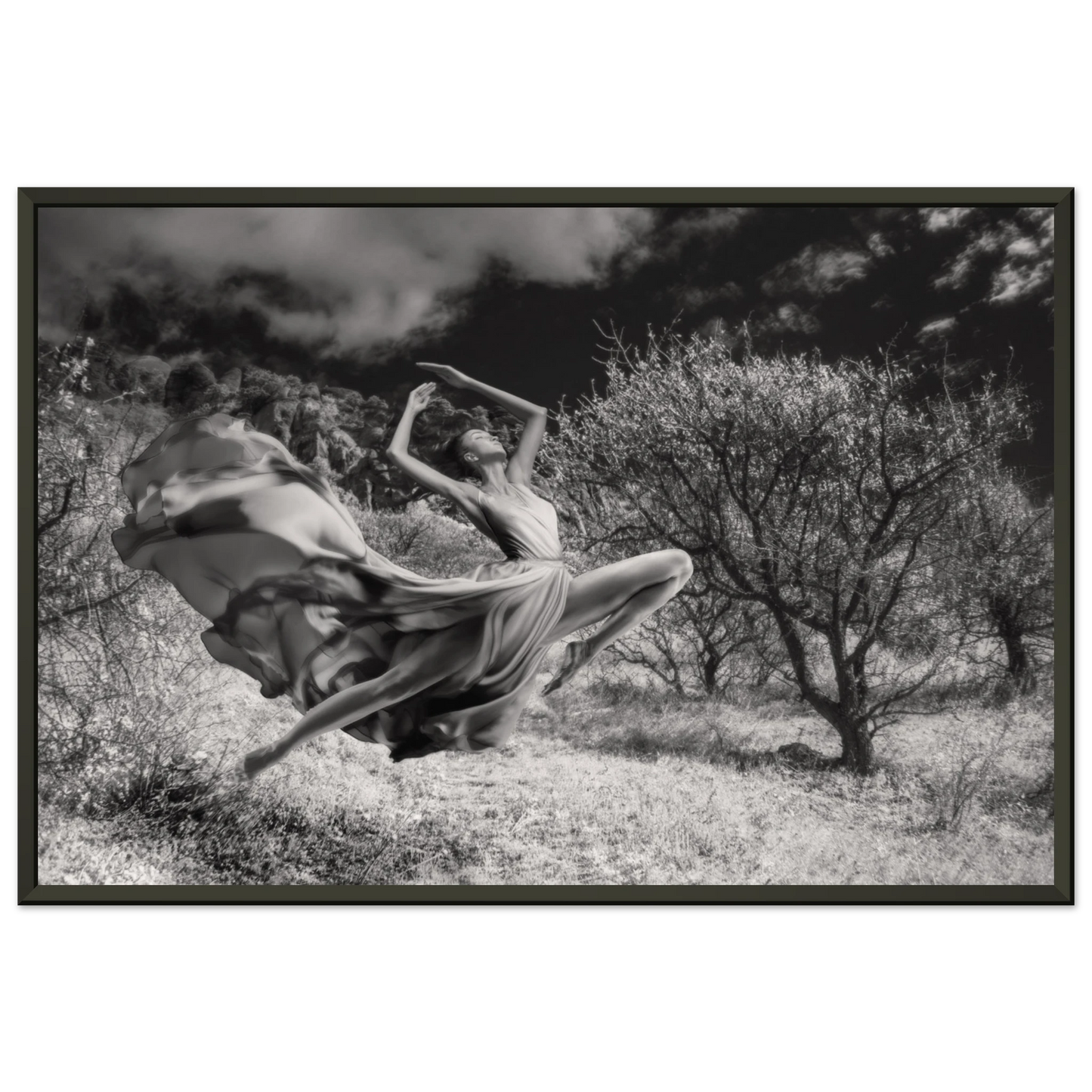 f6633c17-25d0-4d7b-b62f-eb1a69e57598