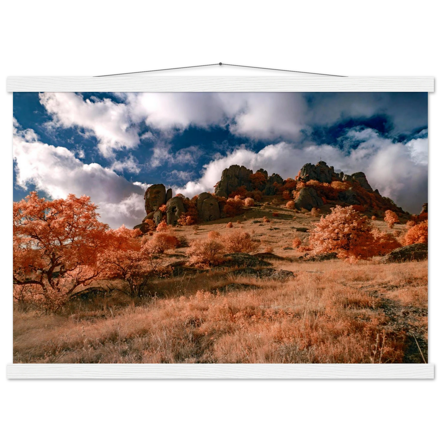 f73998da-149b-400c-9e85-2abe6bd7b8c0