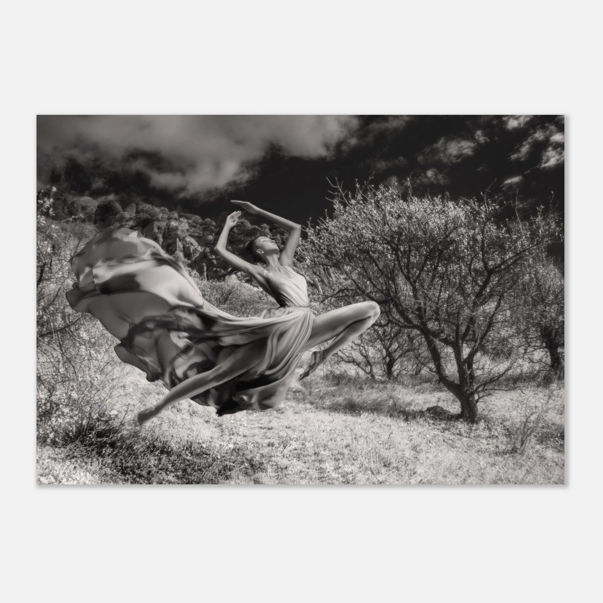 fc8a7f0e-dcfb-4e72-bc02-c61eedad3151