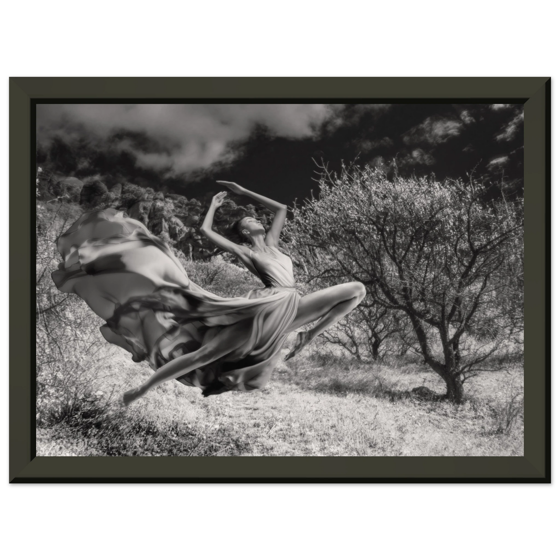 fd003540-4716-49d3-9eb1-b991b263dfc2