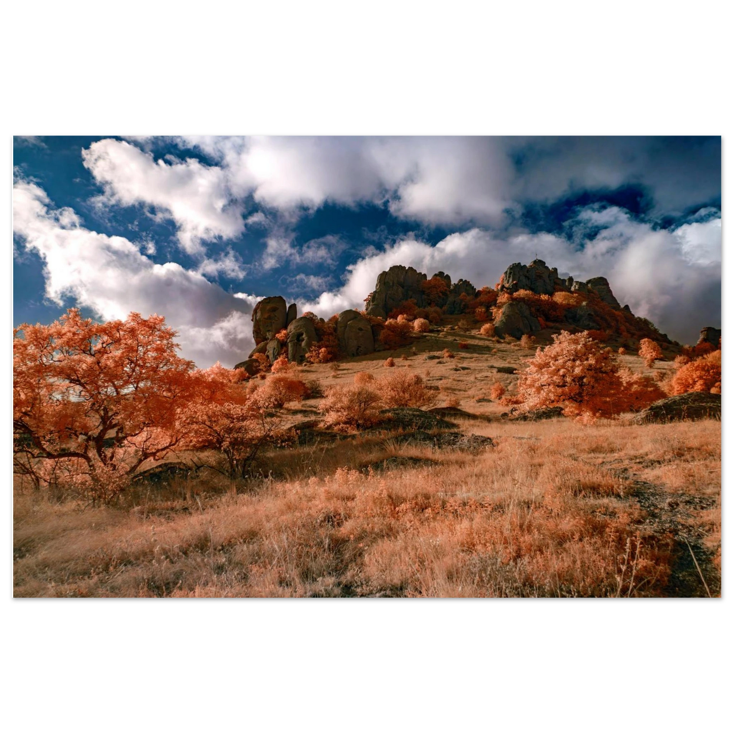 fd23e710-7f44-45e8-8272-40ab0e59b19d