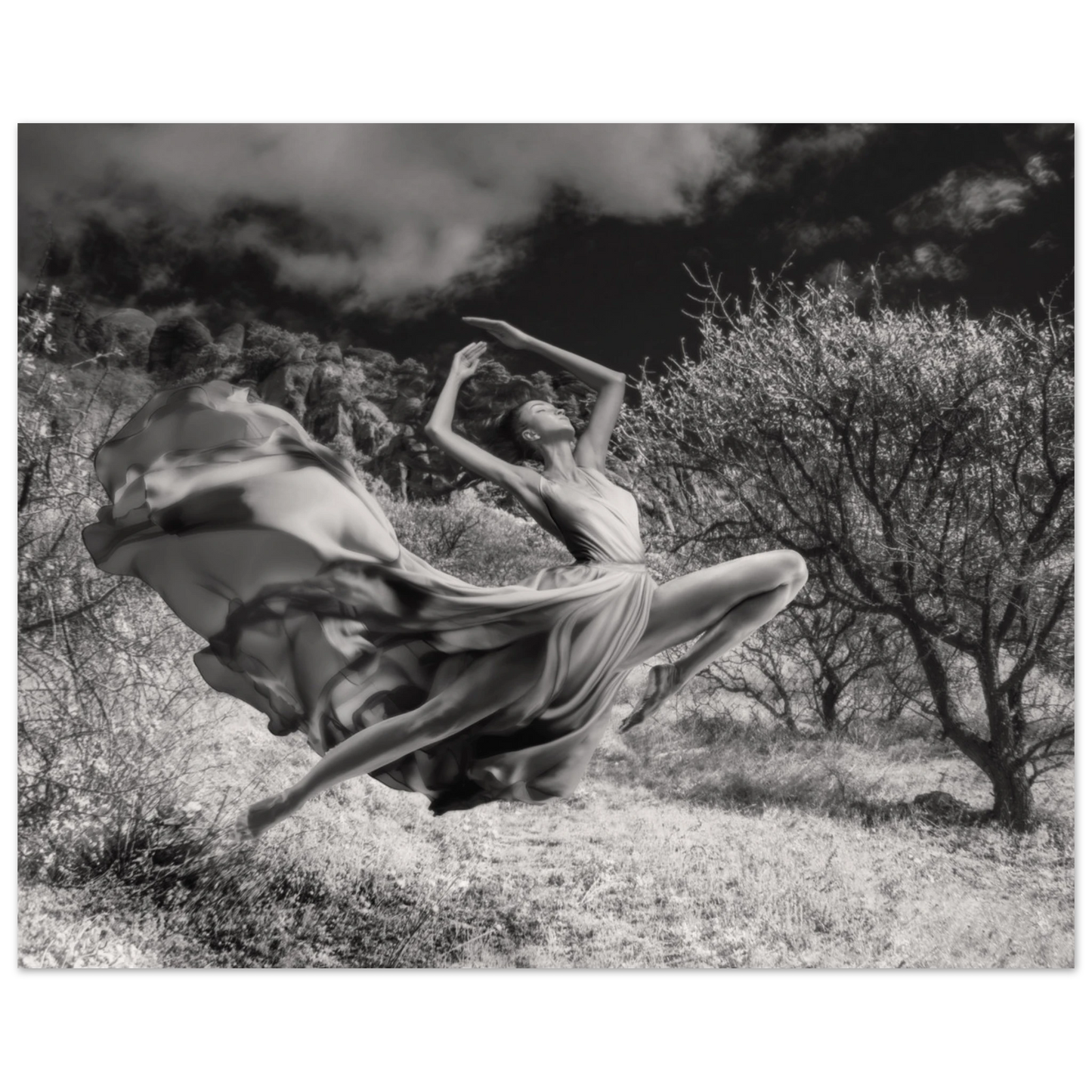 fe1258be-4ece-4425-bedd-5ed3d74b25a2