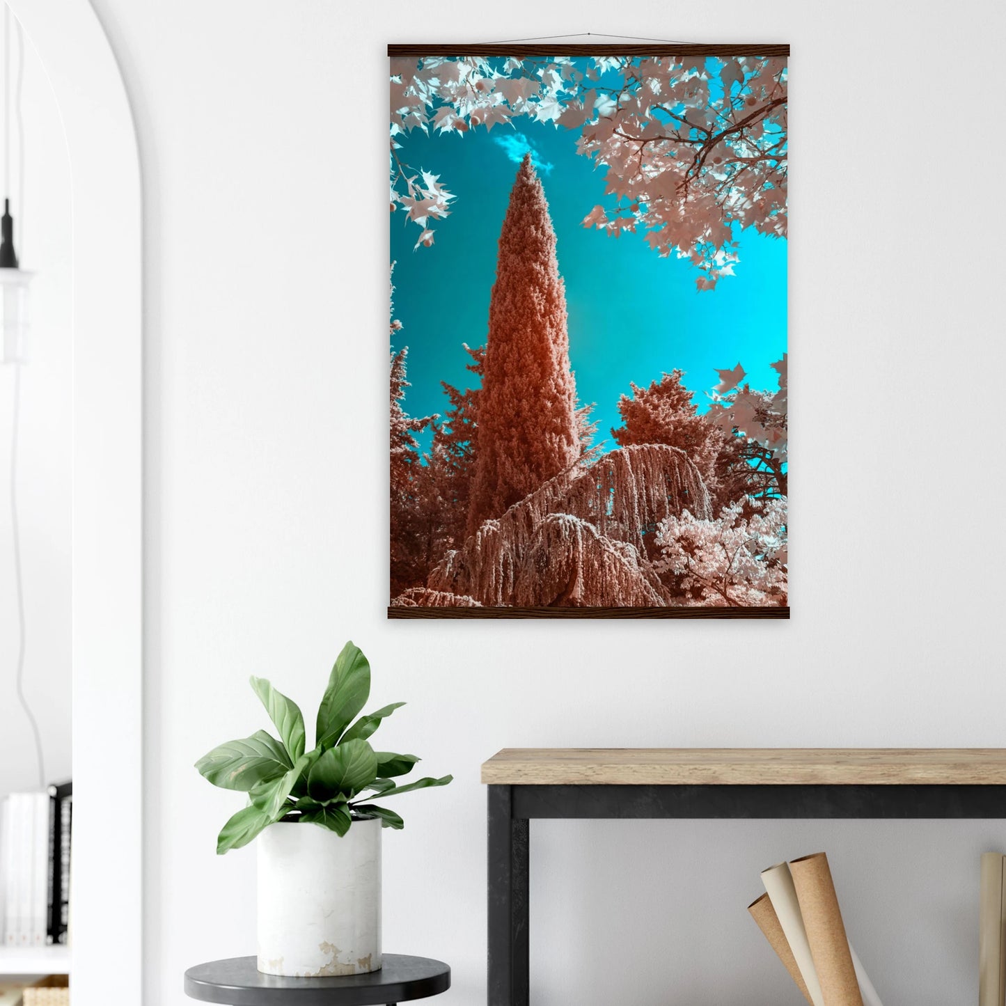 ff540360-54eb-46d8-9519-a1b82e8dab17