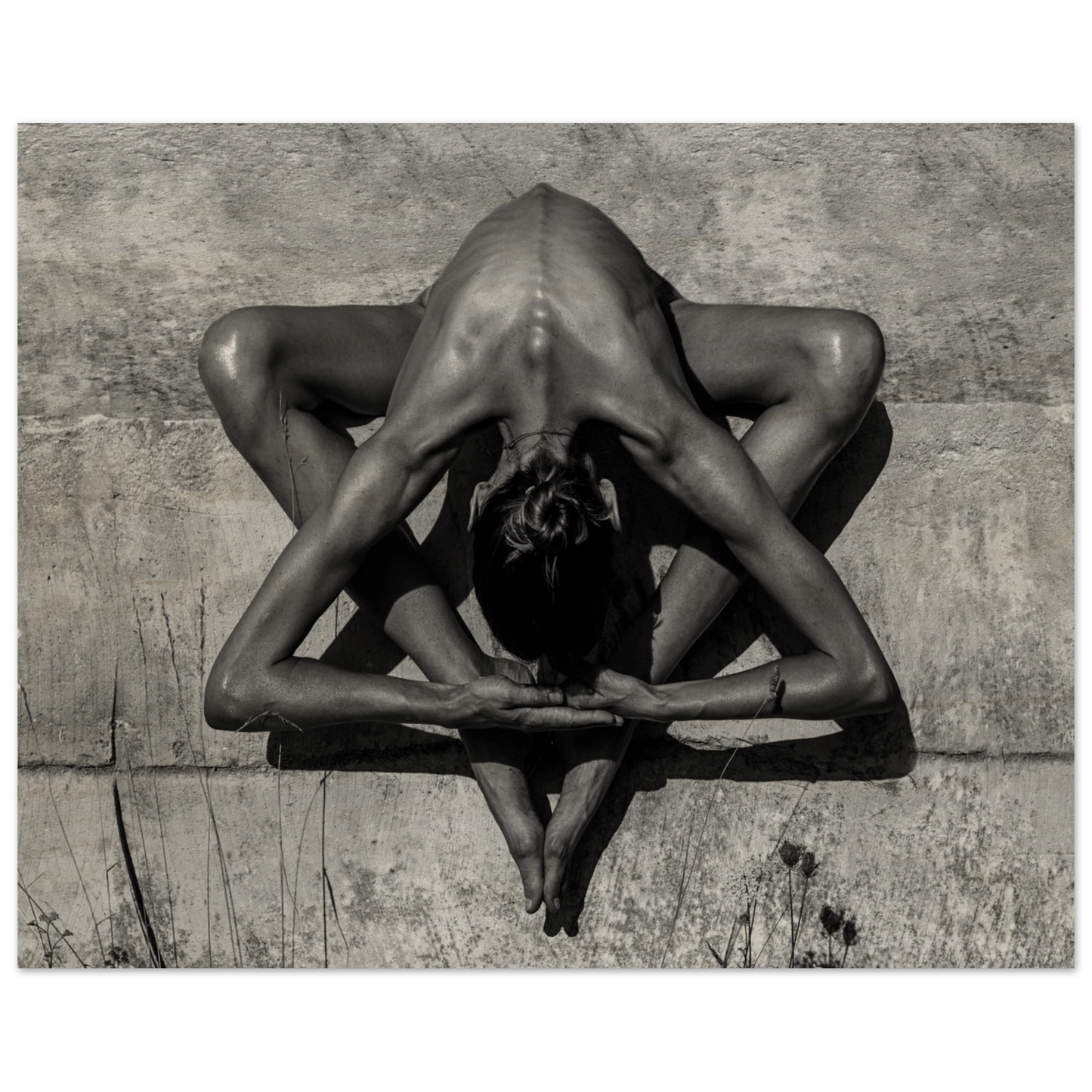 003a623a-1520-4601-92da-03f03311dae0