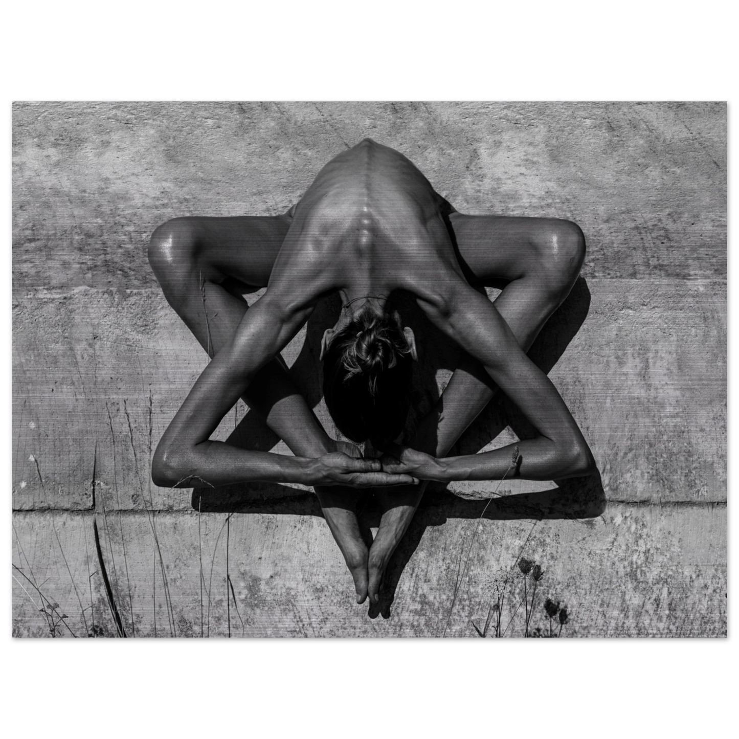 00e80e57-d318-4a3a-aad2-d62030475580