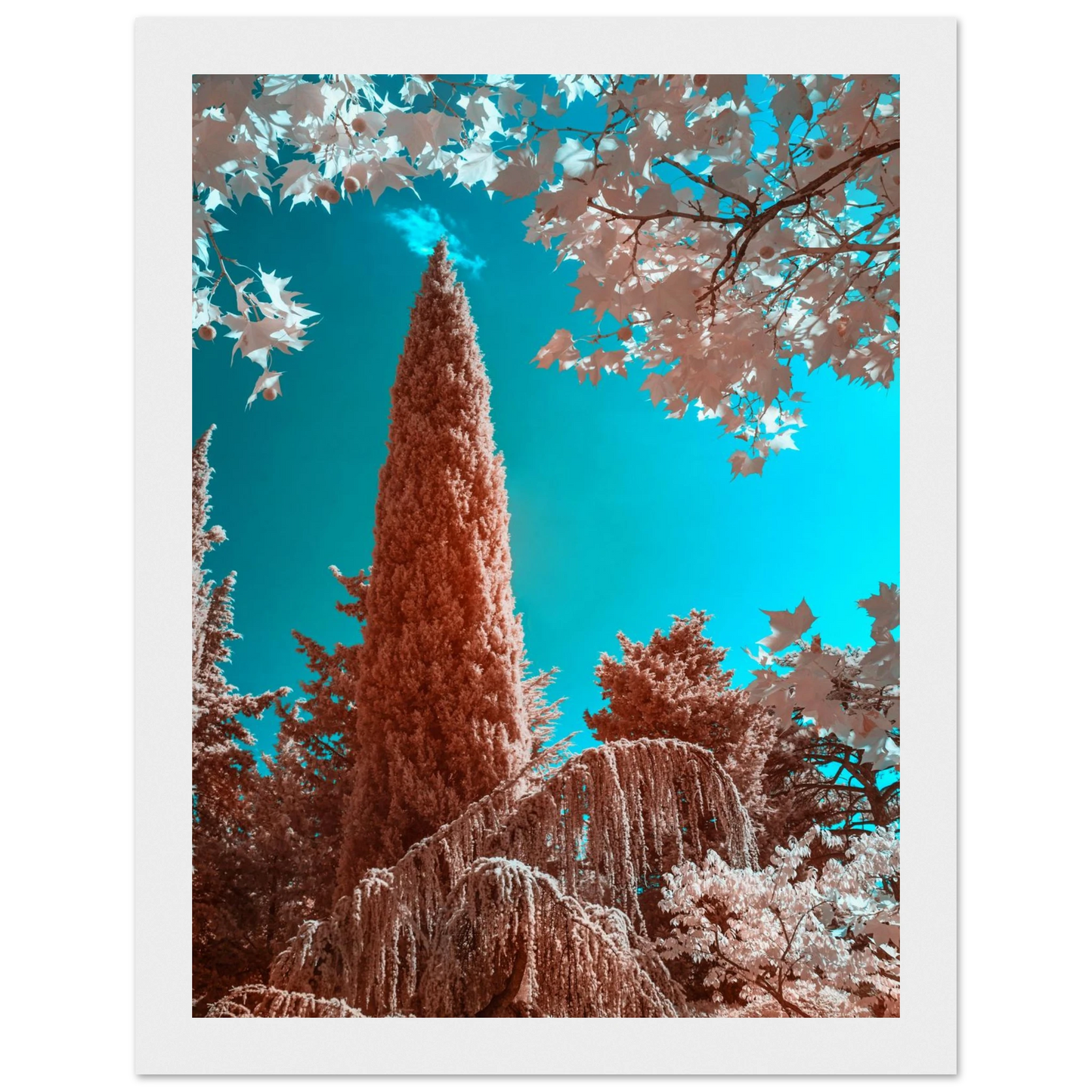 01d10123-d6e1-41db-9d62-d13272a01686