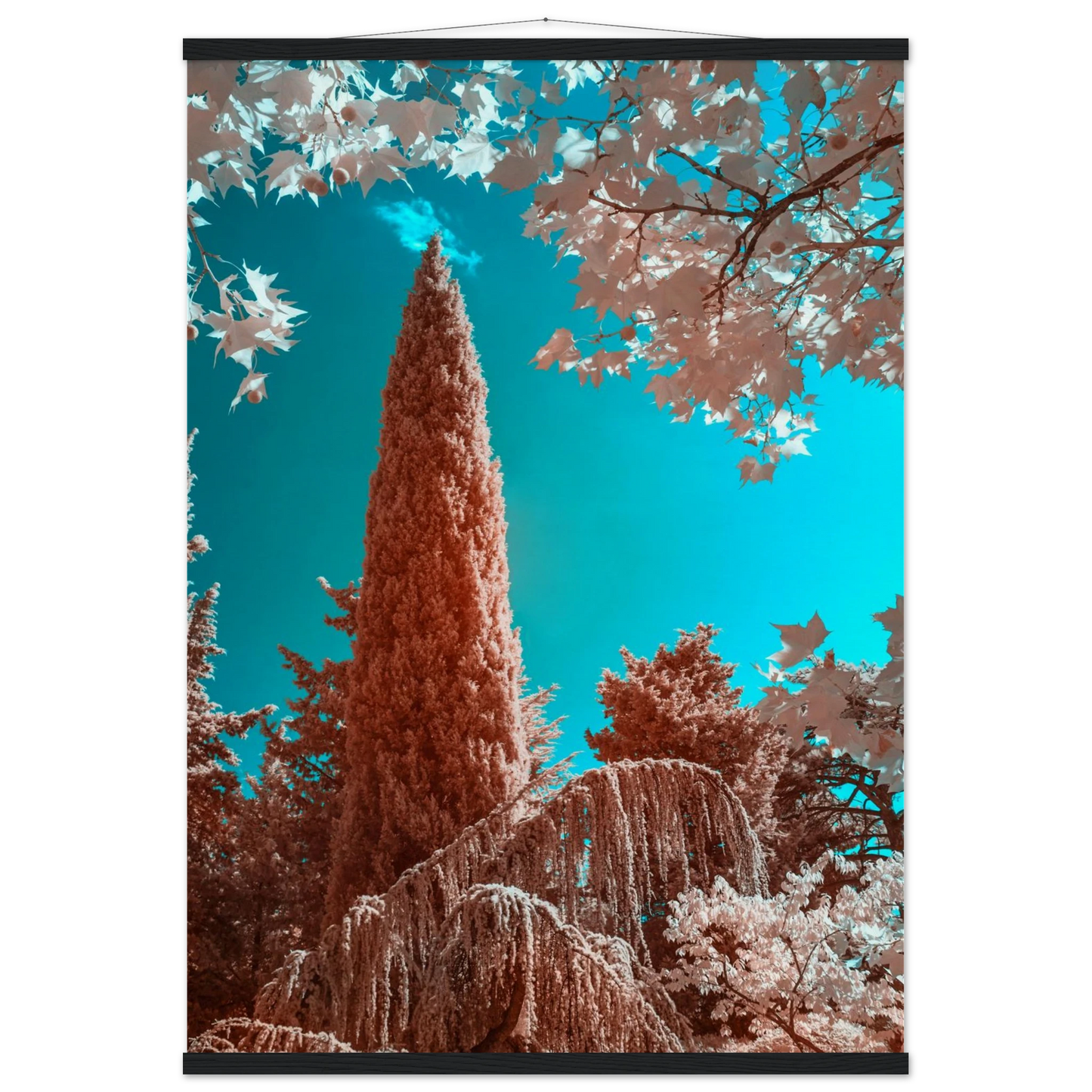 02c3e2b3-7ae4-4d77-91f0-6ed7eb5a71ba