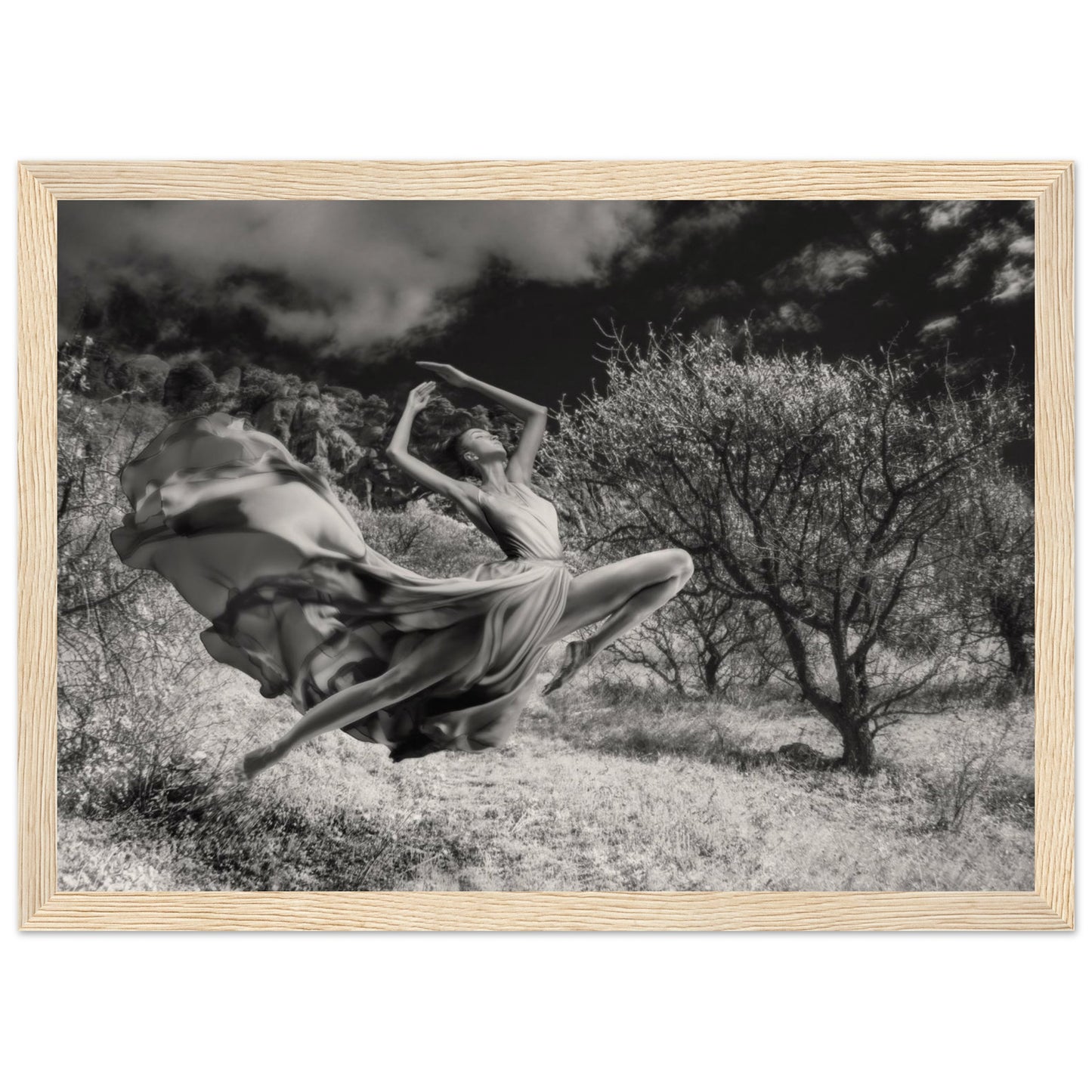 0342bf46-0421-45a6-8b60-a253ead11a1e
