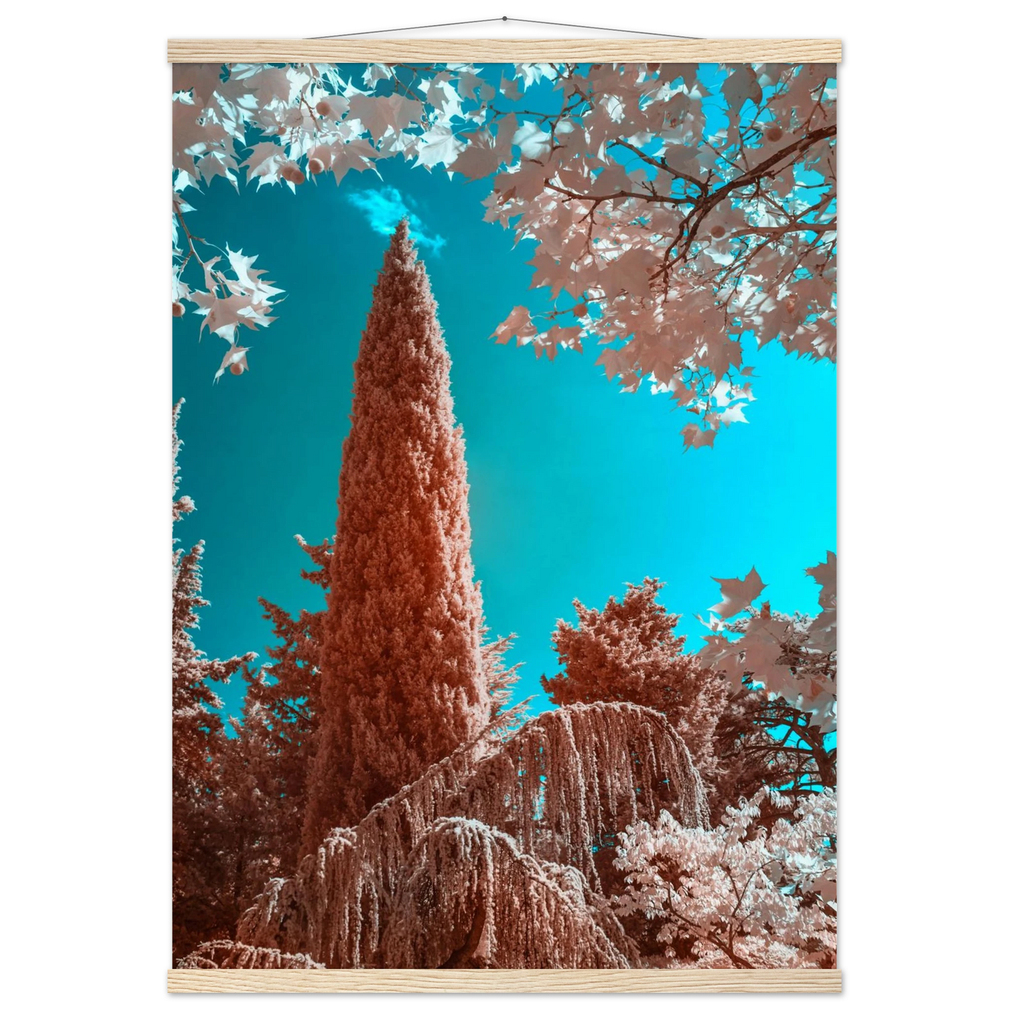 0438f337-28e6-41ae-bf43-05ac8c115f7c