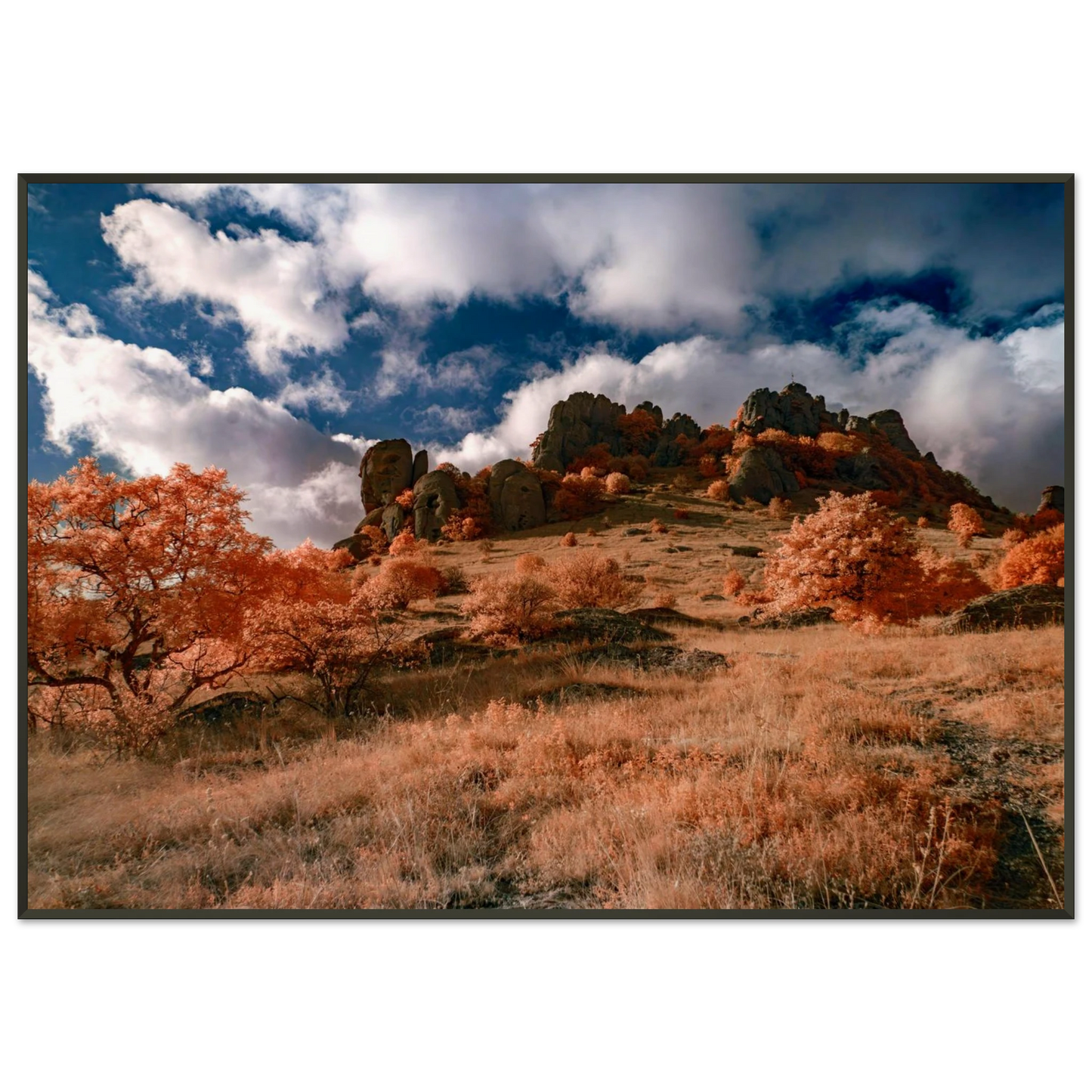 047f02e2-26a2-4094-8201-9a03a887e9ad