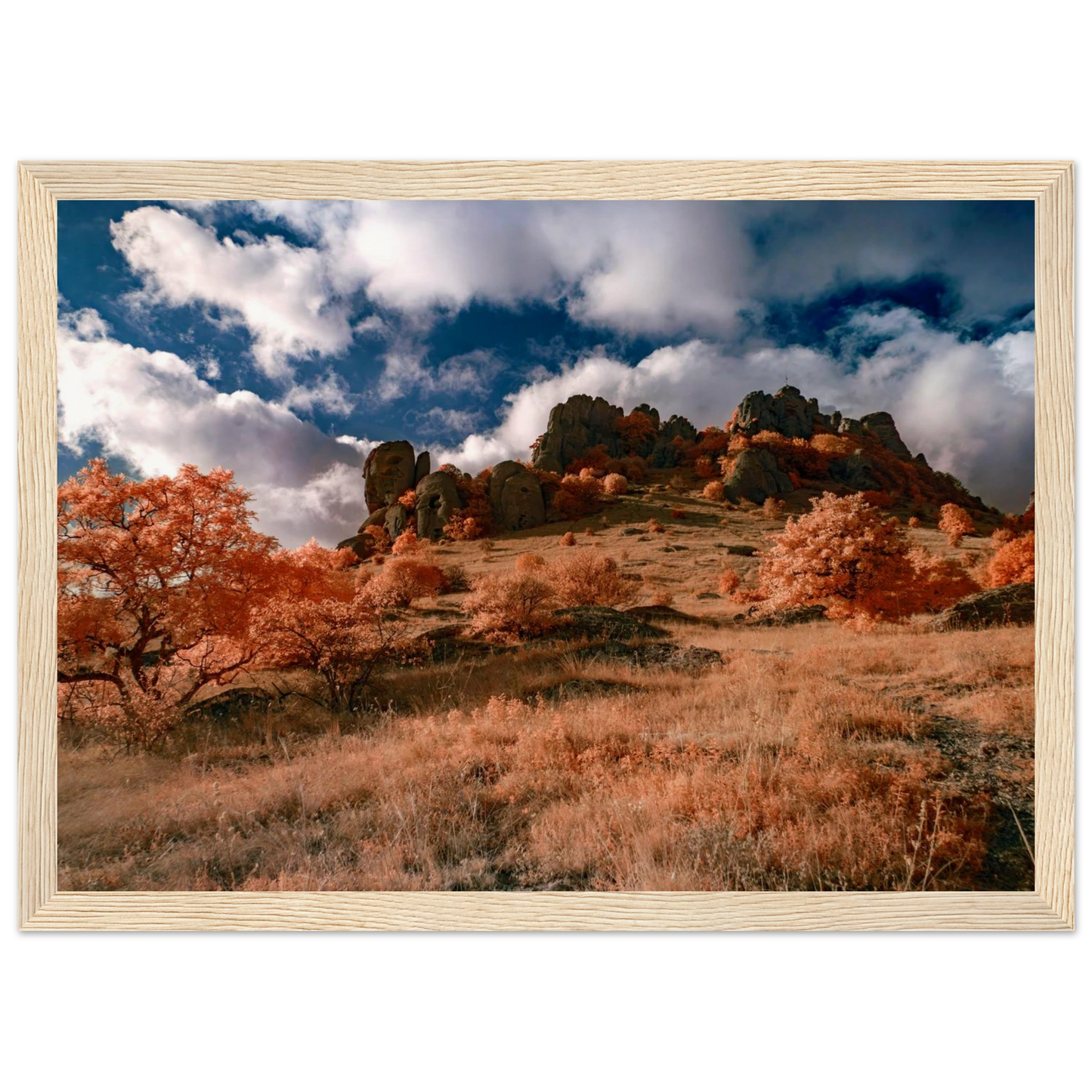 04e72610-94e0-4bf8-9c91-185cc69983ef