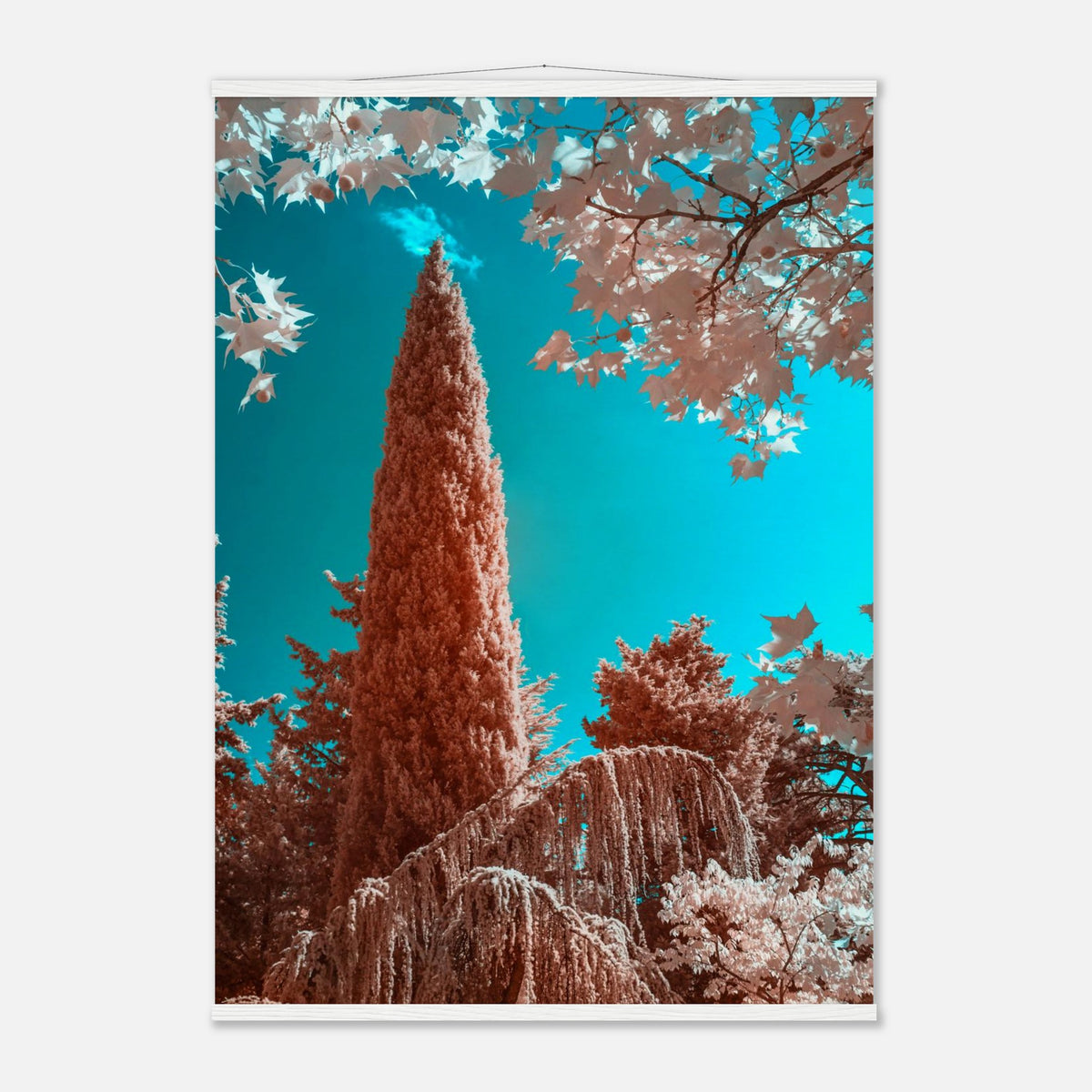 050f2e01-c54b-4c65-9494-9f490921d994