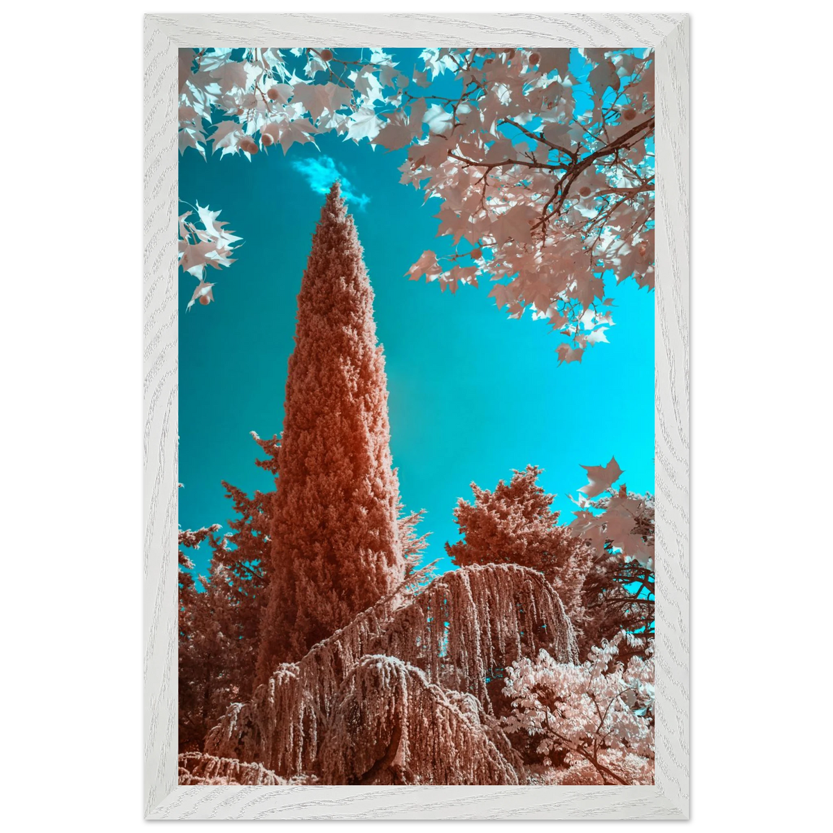 05617edb-2c60-4fd0-82fe-a0ab9843c01c