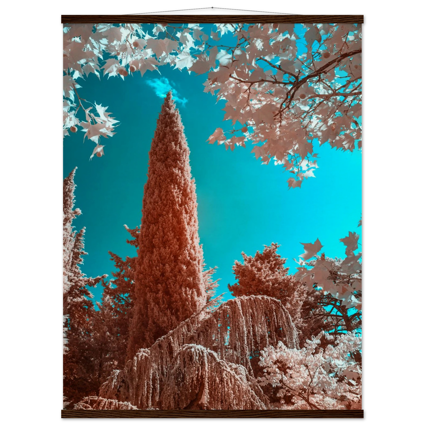 05a8d373-91ce-4dba-b431-68b9738d0562