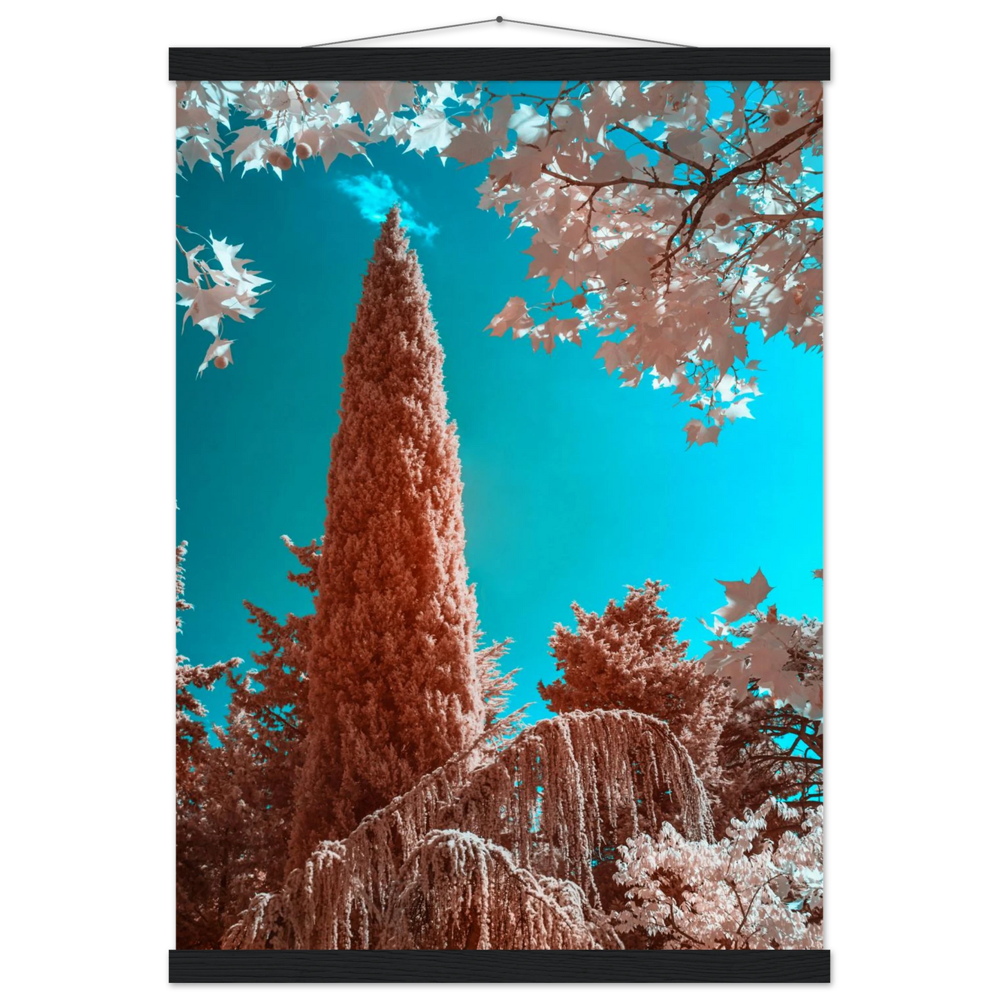 0695a4c1-7bf0-4f7a-bba9-19e2c73972d7