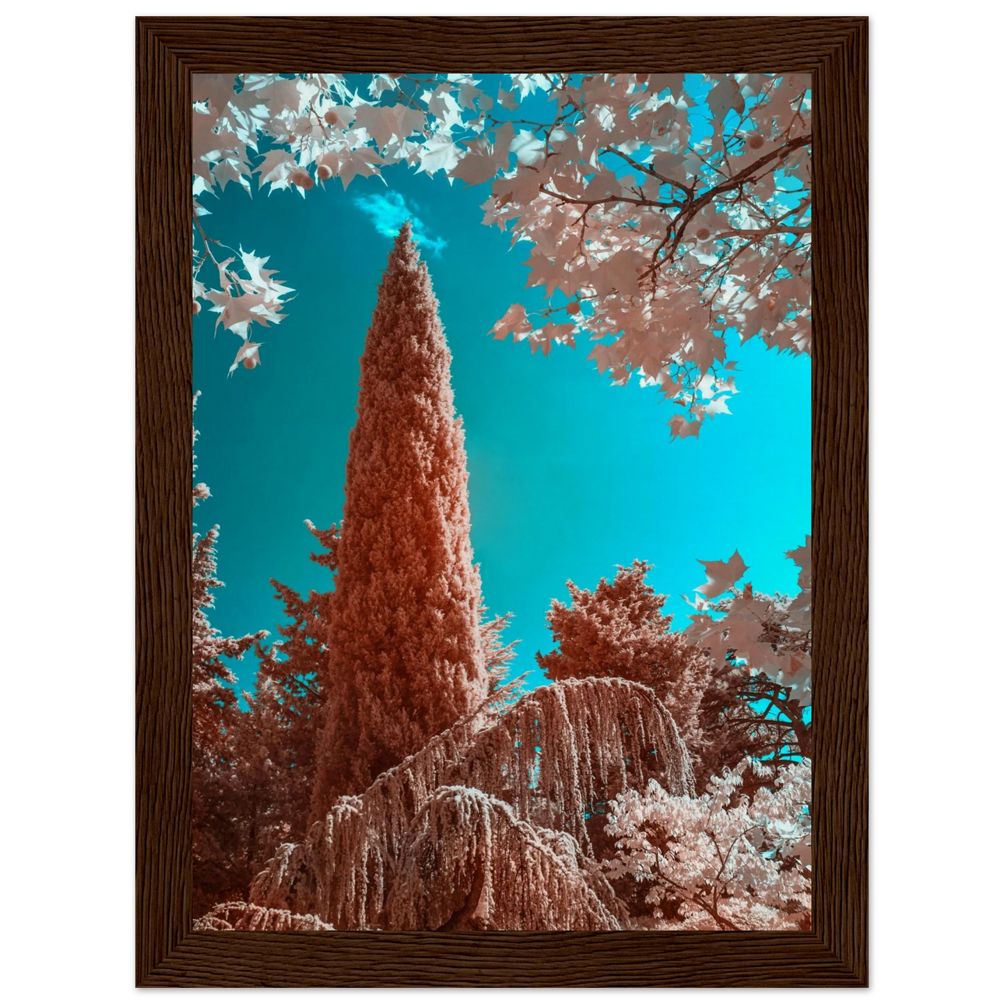 06d6abe3-3ba0-4741-9147-54a5394e91d8