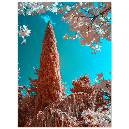 071f70ba-b128-47ca-9df0-680c7b2eba5d