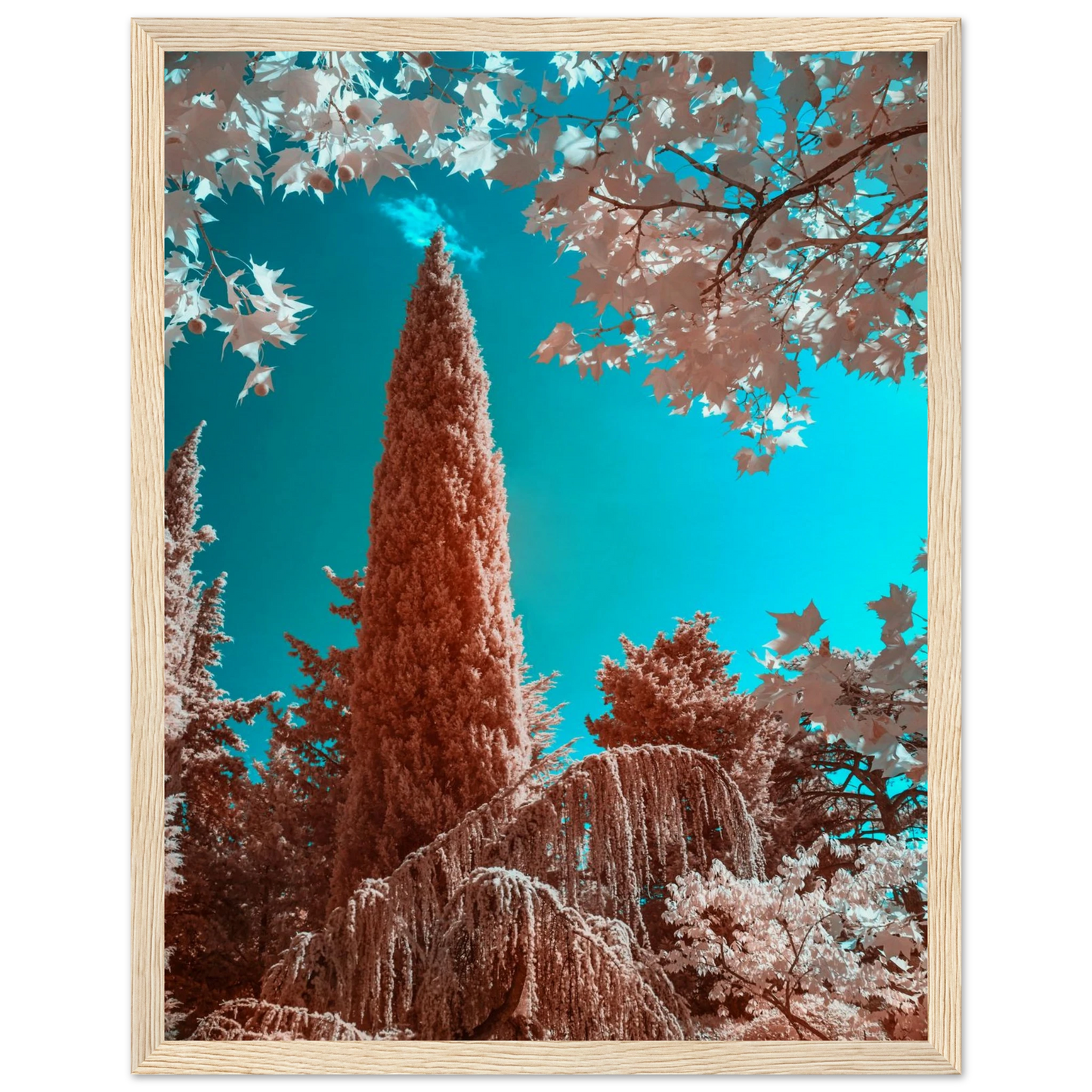 08041f09-5c8d-400c-a22b-48c96eecfd94