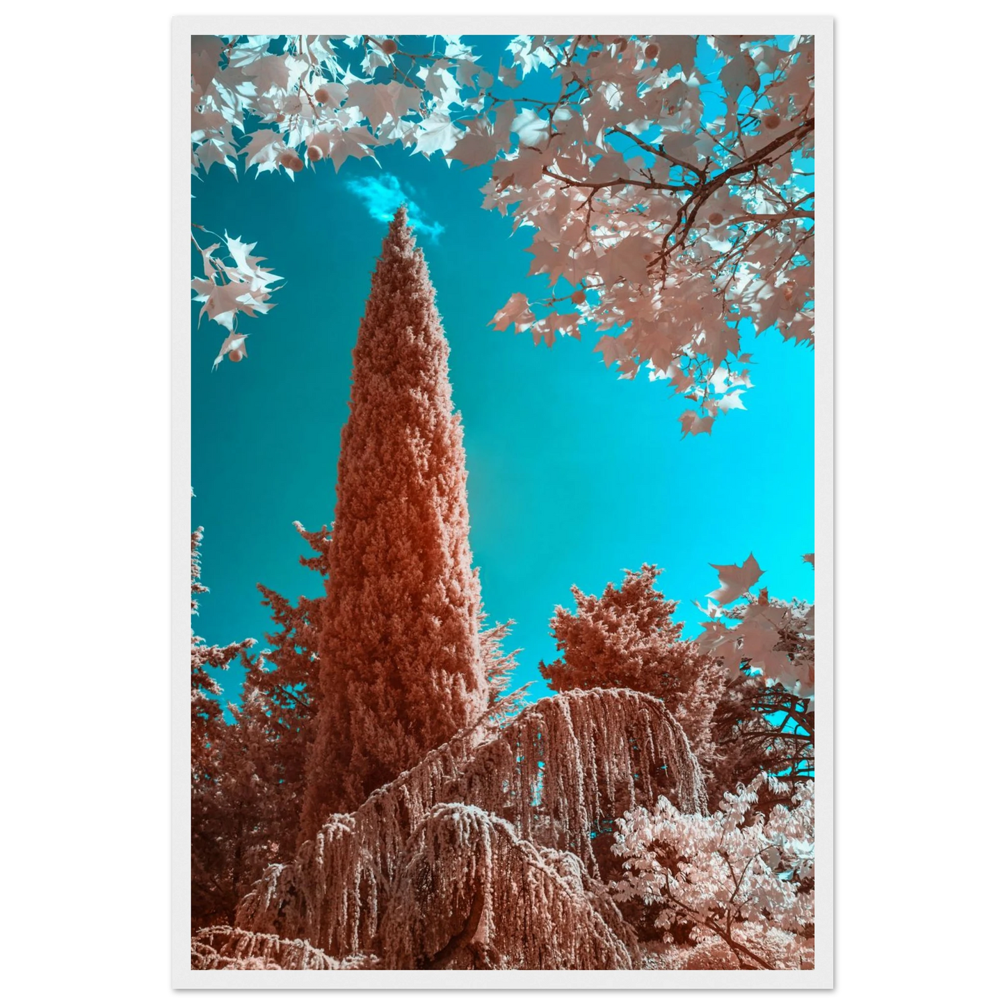 08c82533-280b-4bc0-ab6b-1cdad7b81c9d