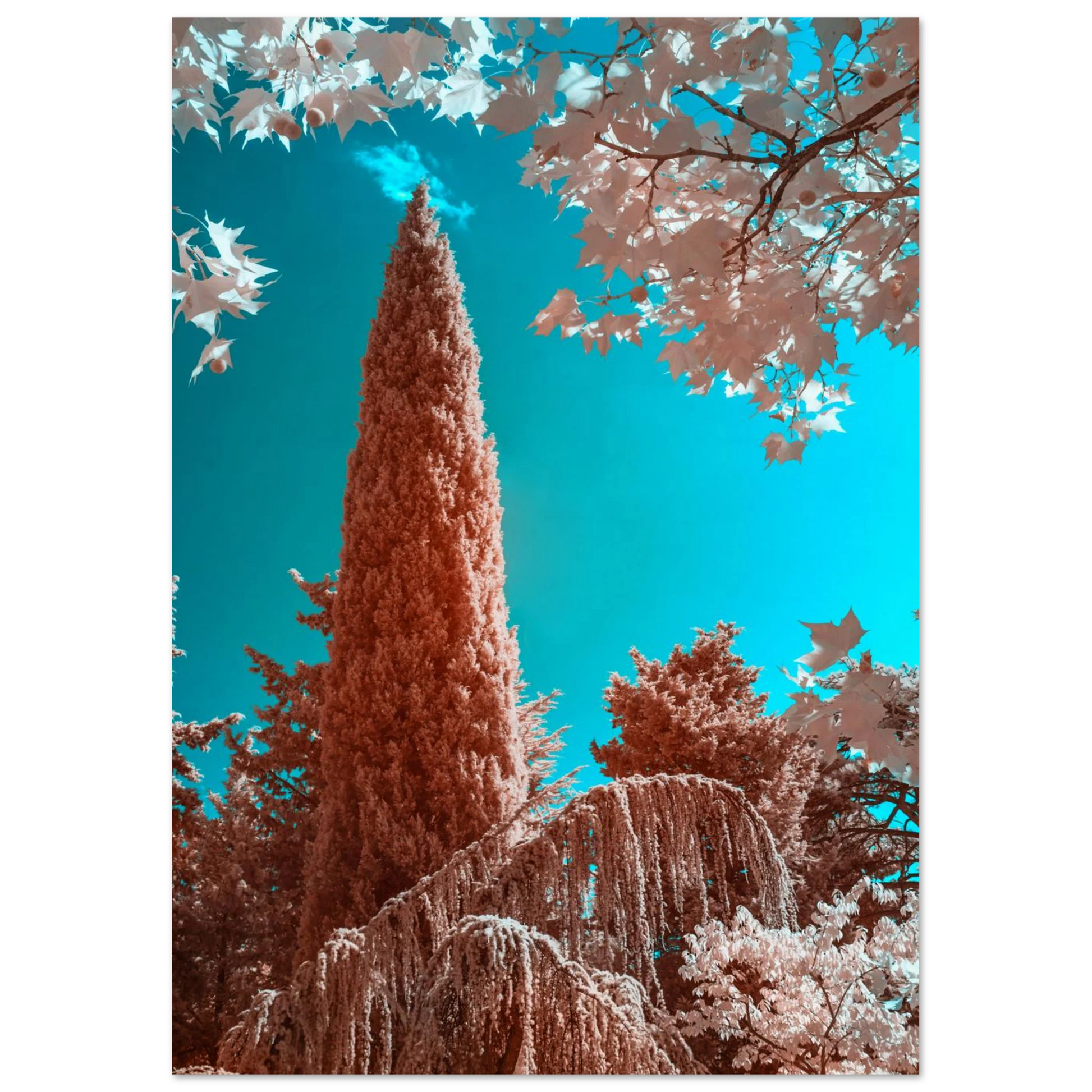 0a8d92f2-47c8-4009-b7fc-27ad0667df79