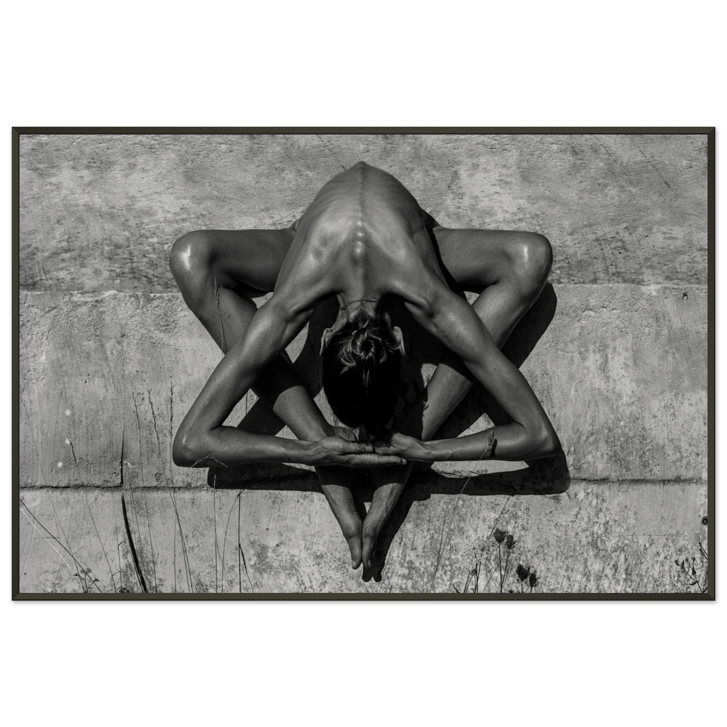 0c02549c-a0e9-4467-a94f-e67df45cc7fc