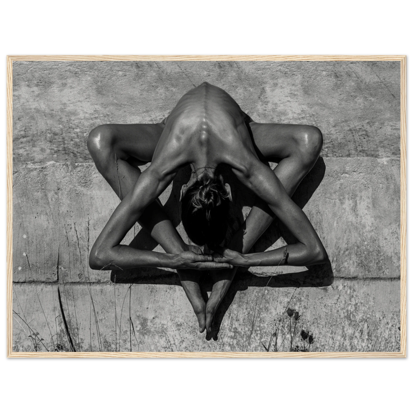 0c9109b1-897a-4bff-8a24-bc38cf66f488