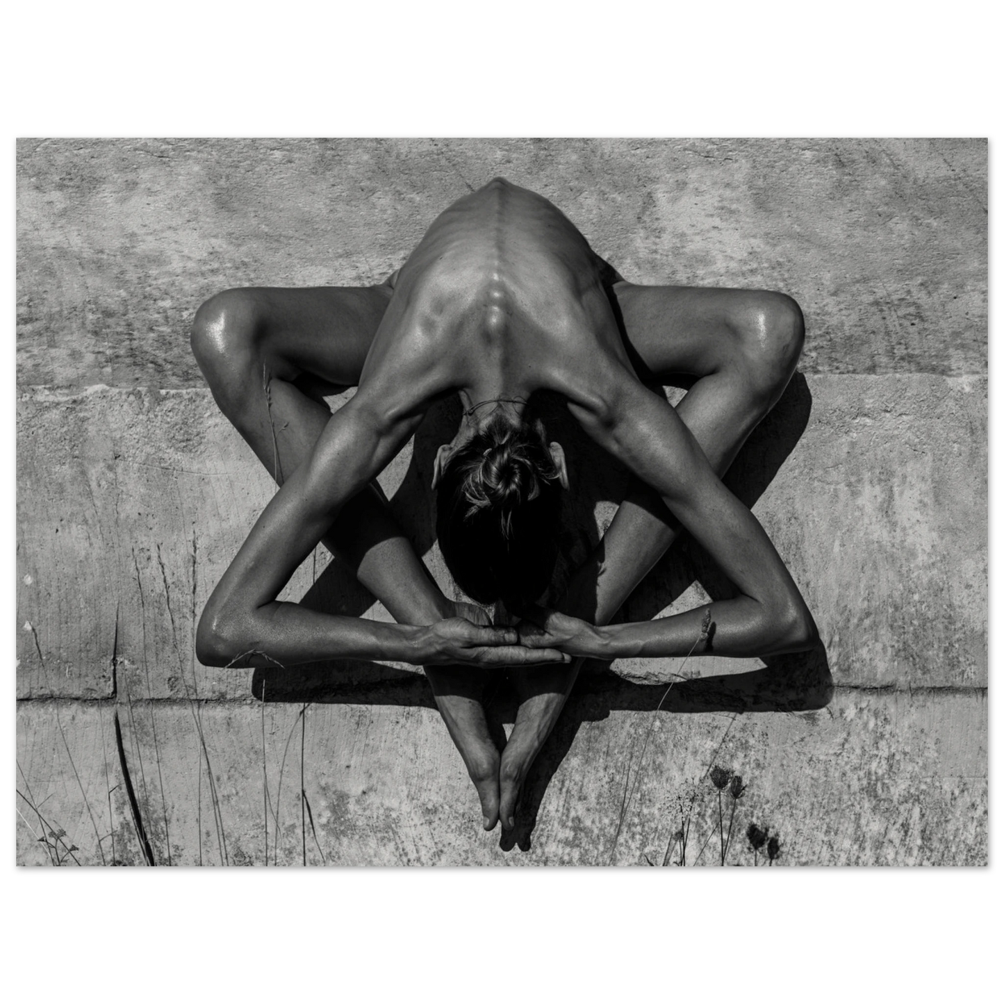 0e1a1202-0167-4856-a560-7b283ac55876