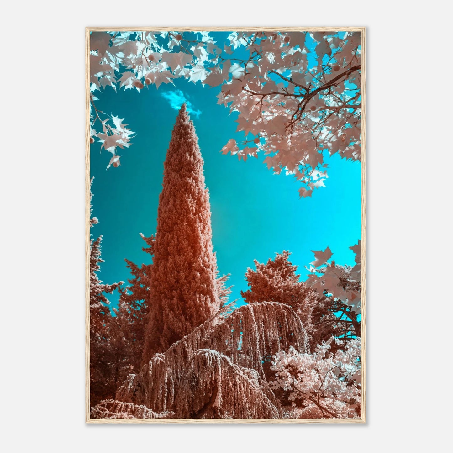 0e21697a-57f3-43e9-a138-0f7cf020a15e