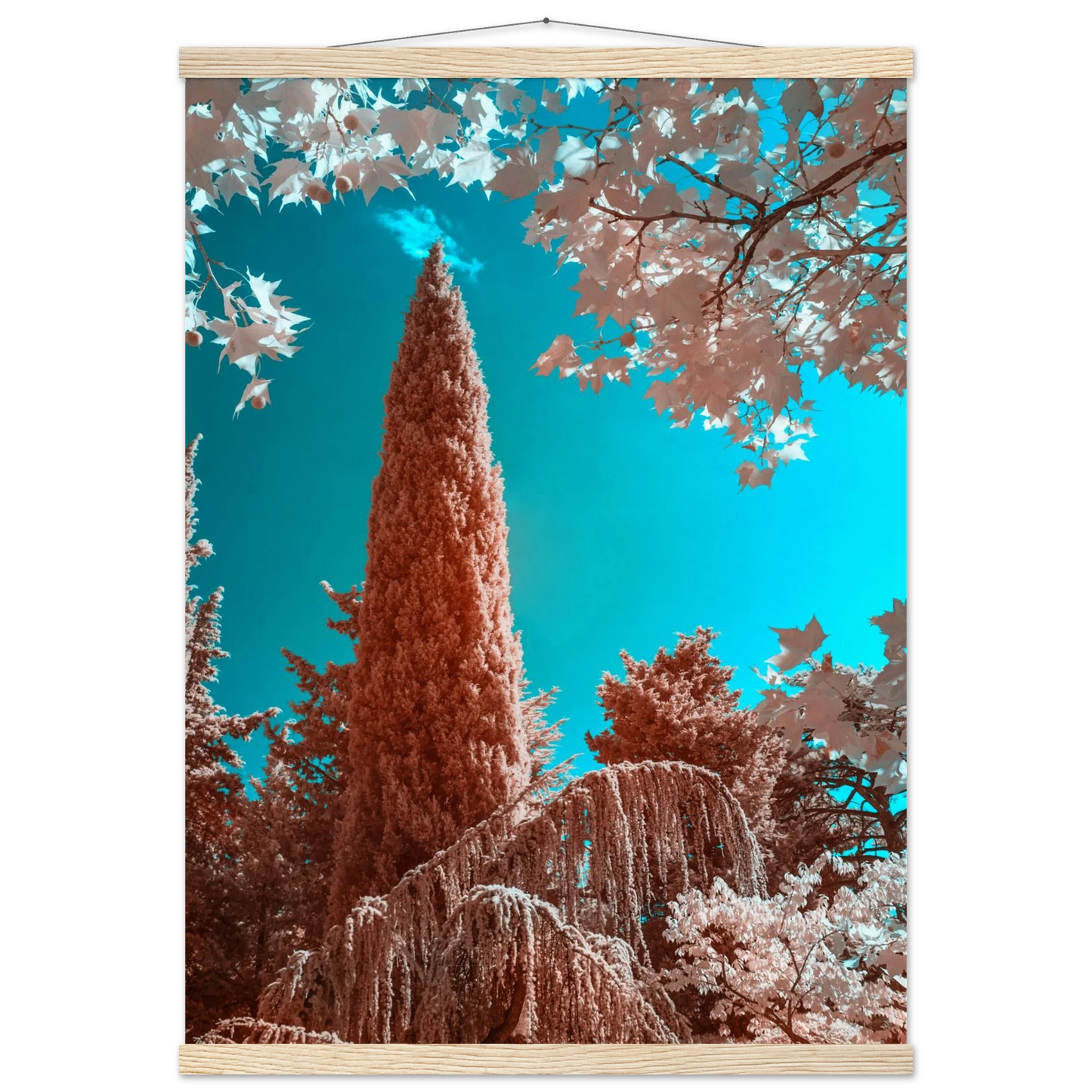 0e2e1a17-c3c0-4508-ba80-f9b20a8f2a1e