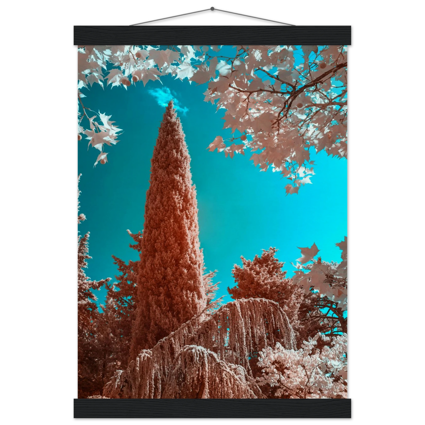 0edeac7c-71cc-4928-a0a8-403e043e404c