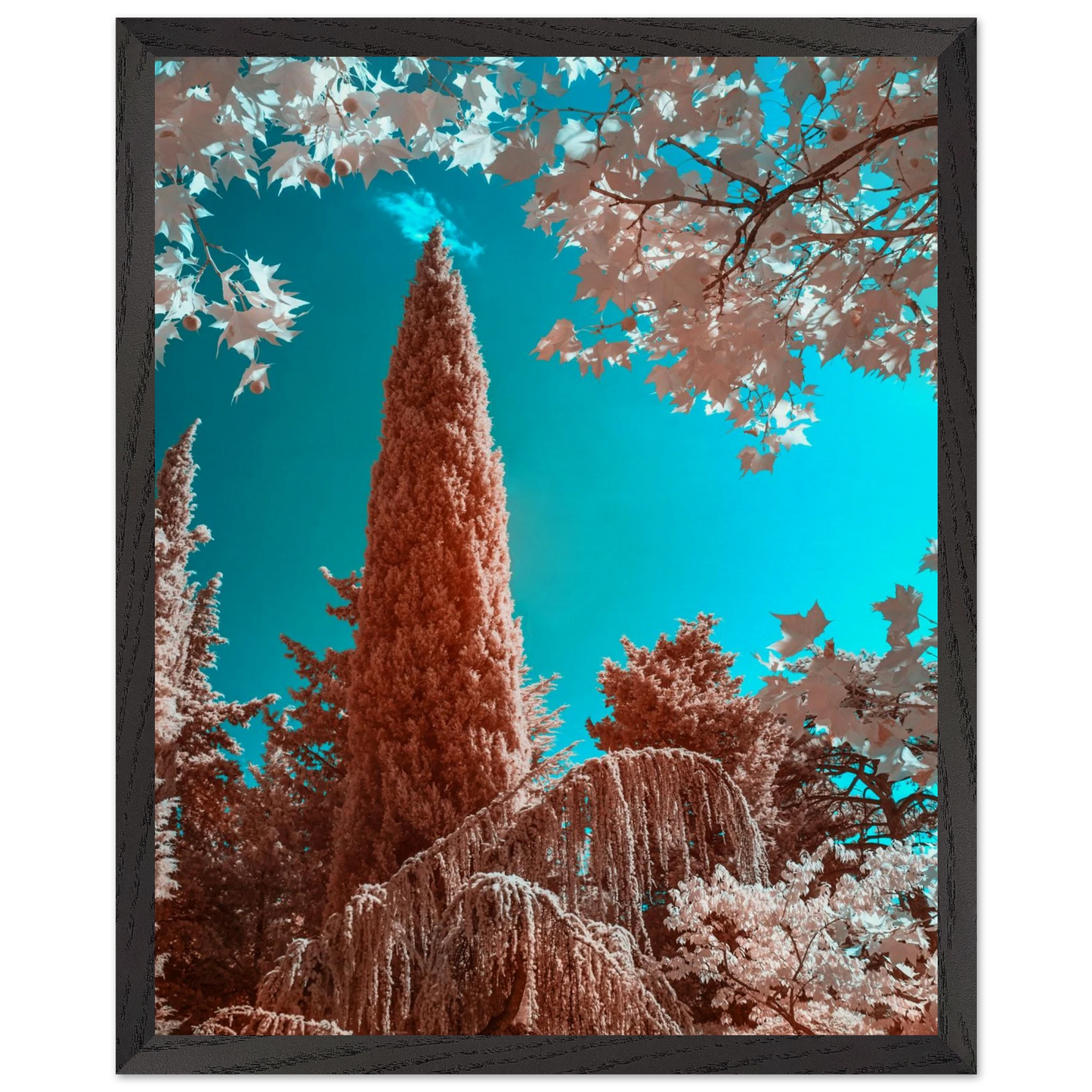 0f8b1a2b-b5df-4aa0-aef3-491414e3567b