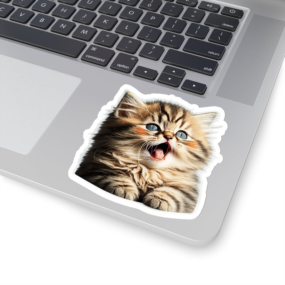 Kiss-Cut Sticker of cute funny golden chinchilla cat kitten  for your collection