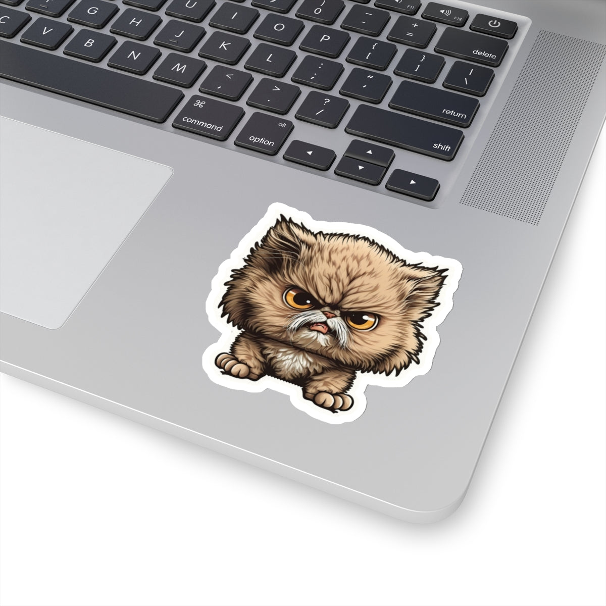 Kiss-Cut Sticker of cute funny angry cat kitten  for your collection
