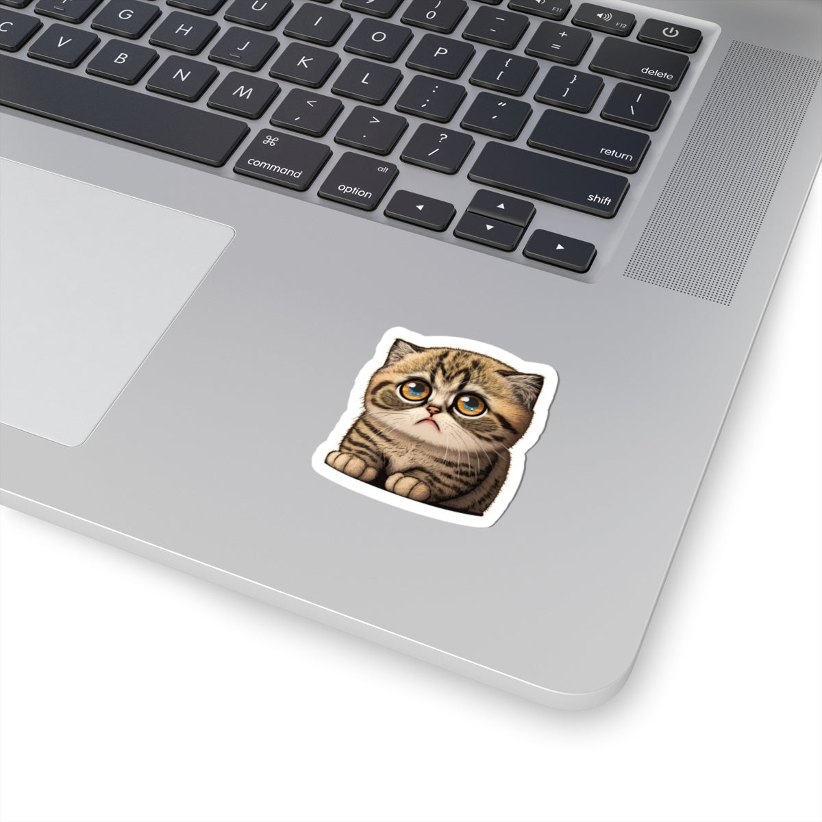 Kiss-Cut Sticker of cute funny cat kitten  for your collection