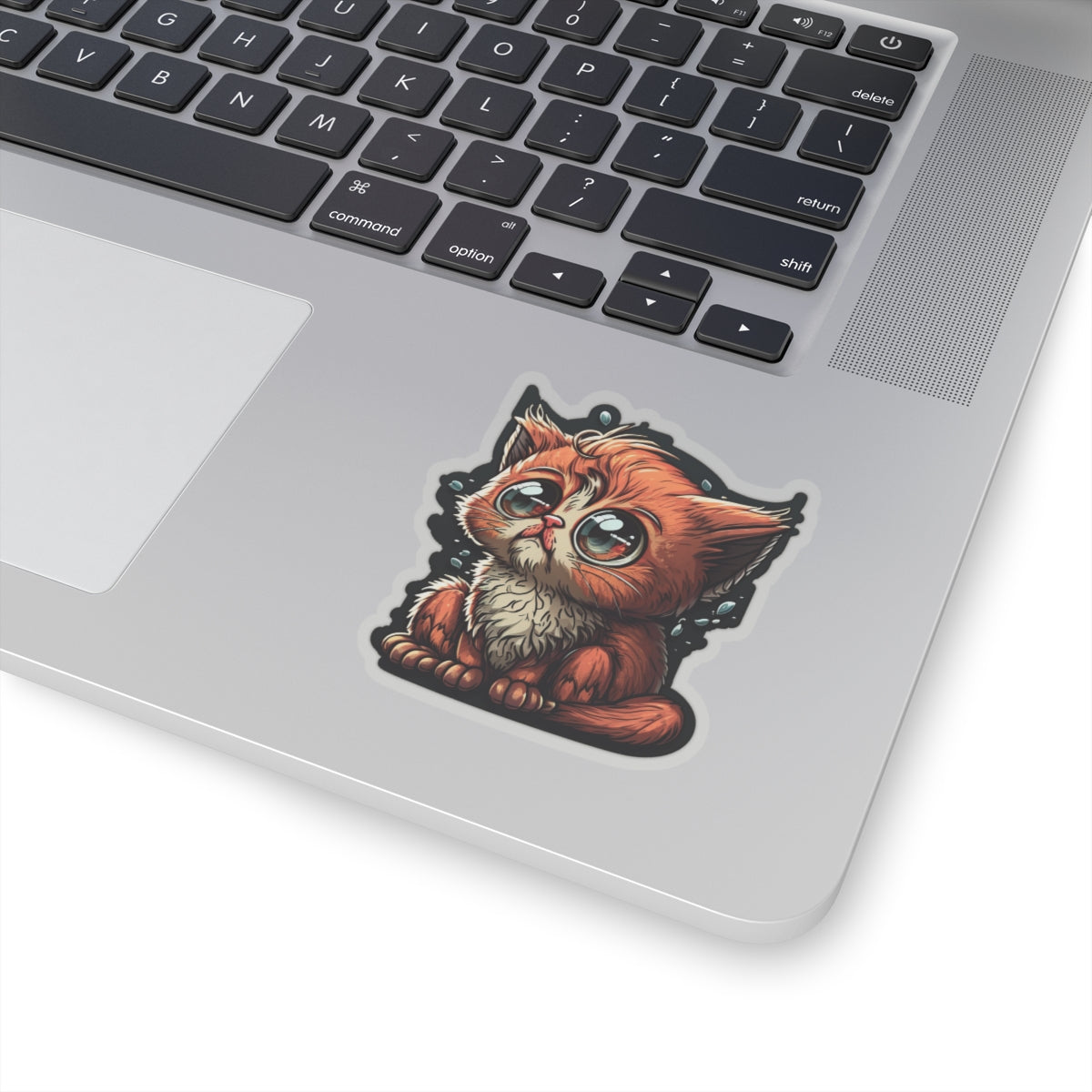 Kiss-Cut Sticker of cute funny cat kitten  for your collection