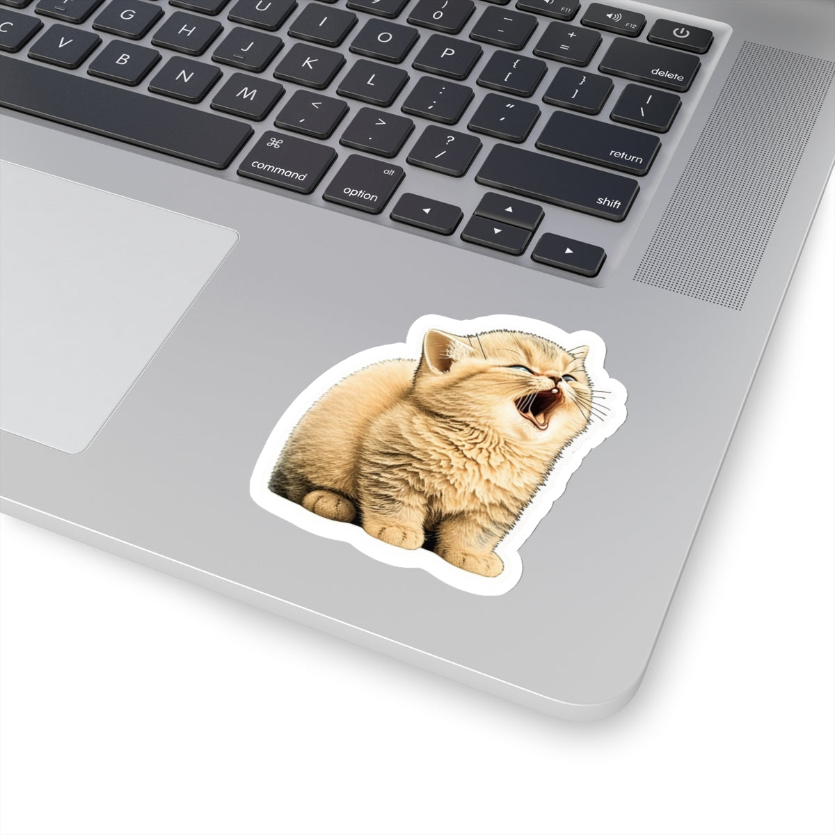 Kiss-Cut Sticker of cute funny golden chinchilla cat kitten  for your collection