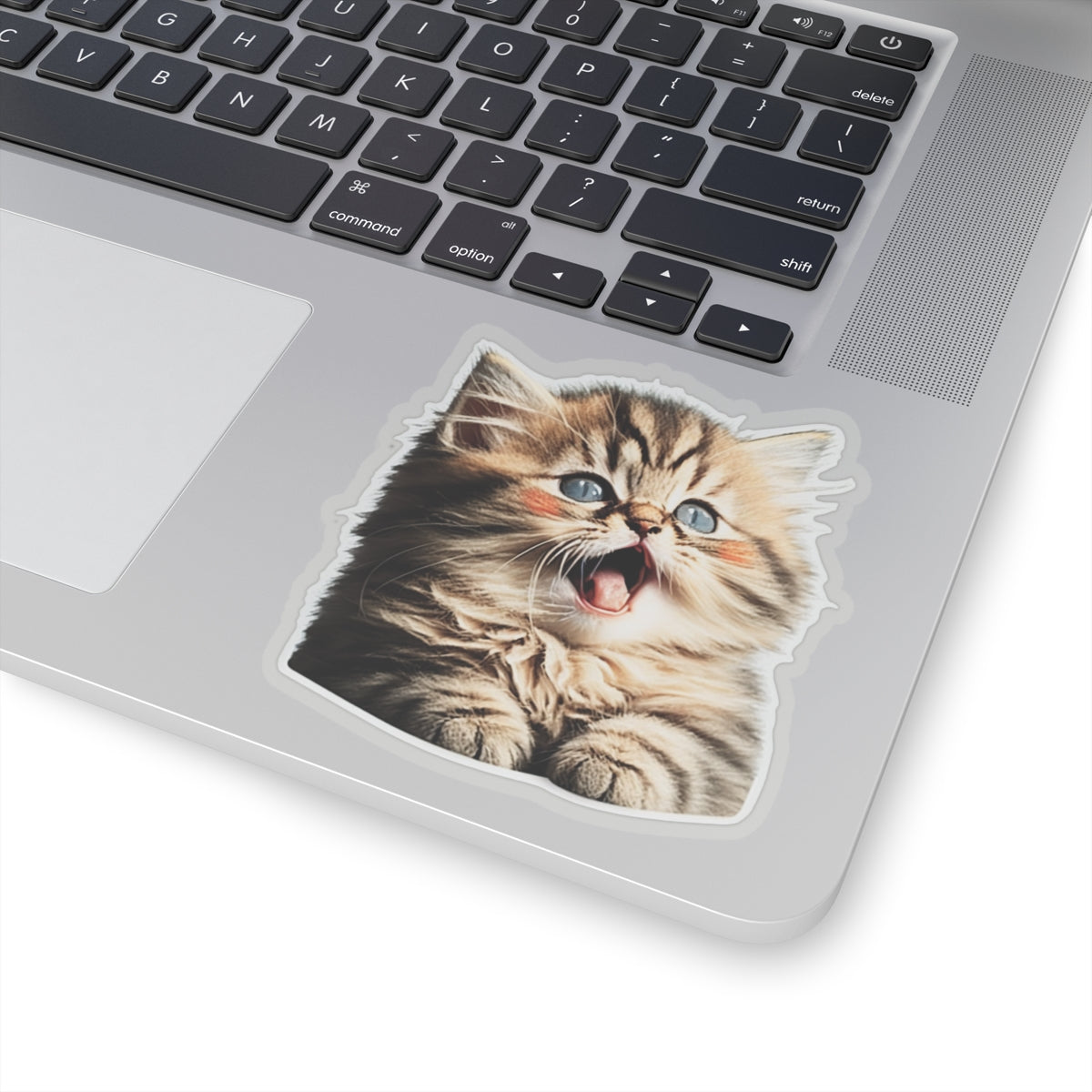 Kiss-Cut Sticker of cute funny golden chinchilla cat kitten  for your collection