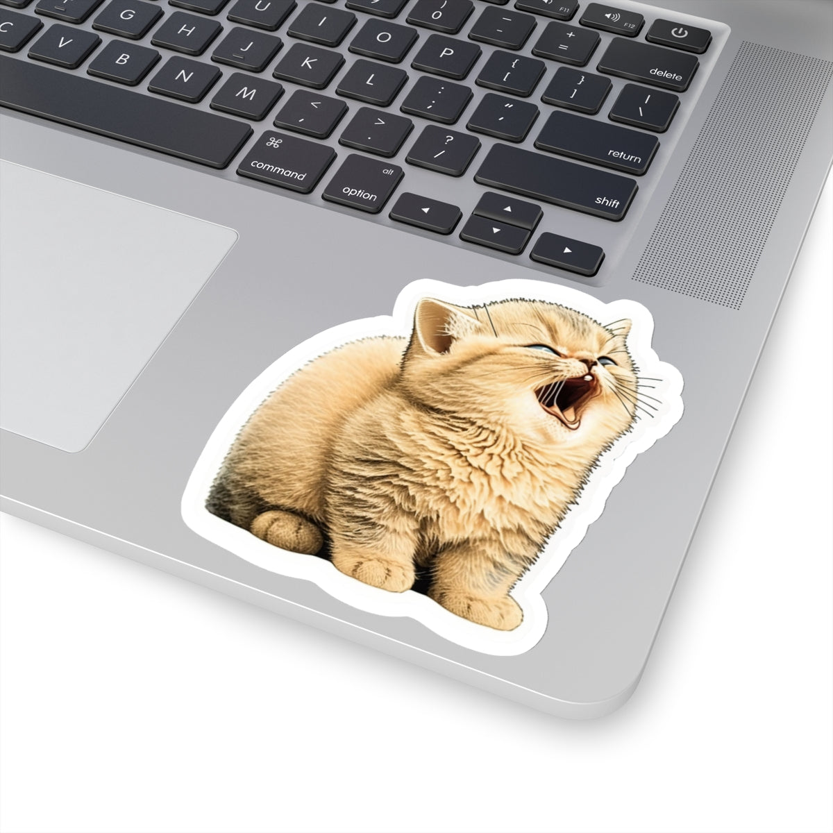 Kiss-Cut Sticker of cute funny golden chinchilla cat kitten  for your collection