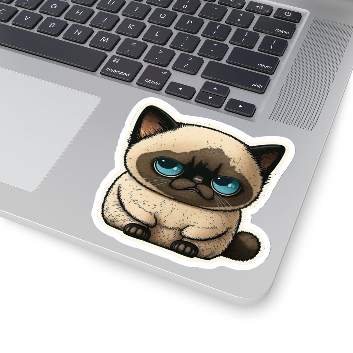 Kiss-Cut Sticker of cute funny cat kitten  for your collection