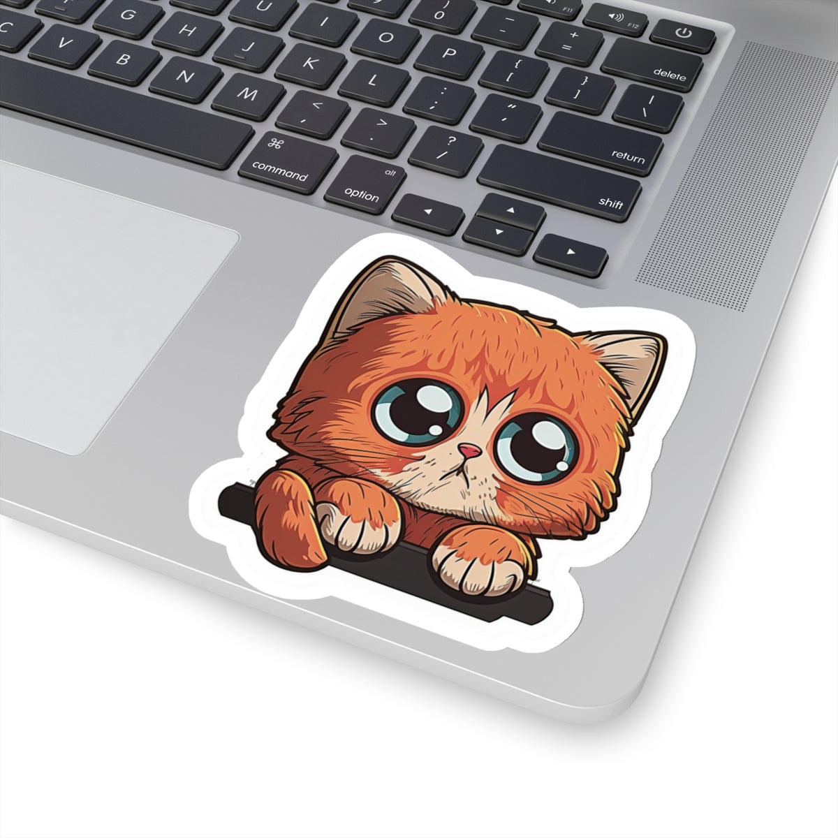 Kiss-Cut Sticker of cute funny cat kitten  for your collection