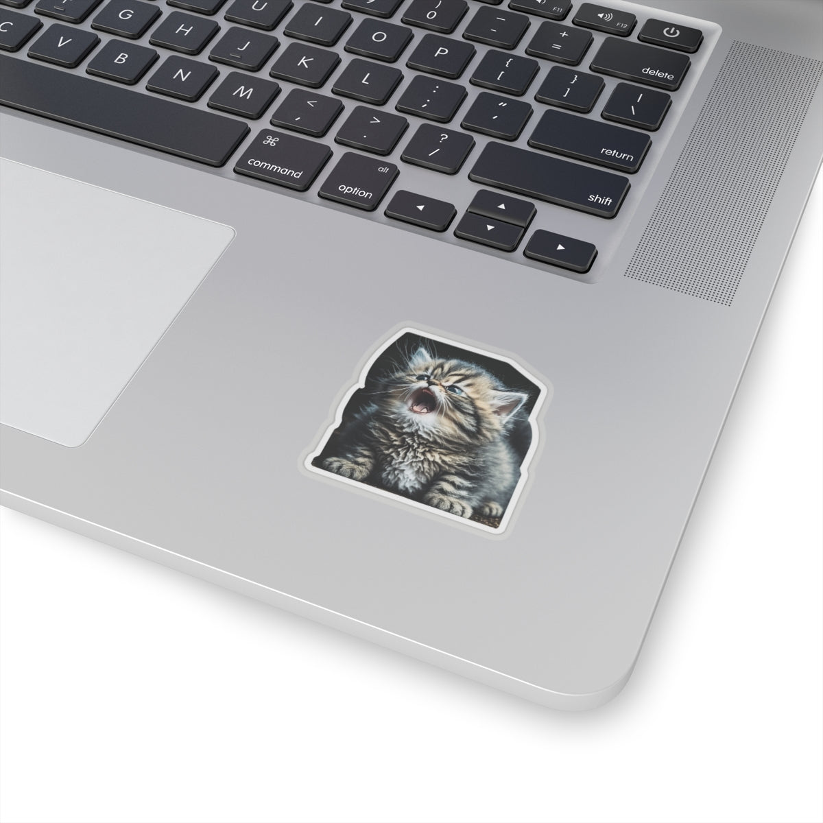 Kiss-Cut Sticker of cute funny siberian cat kitten  for your collection